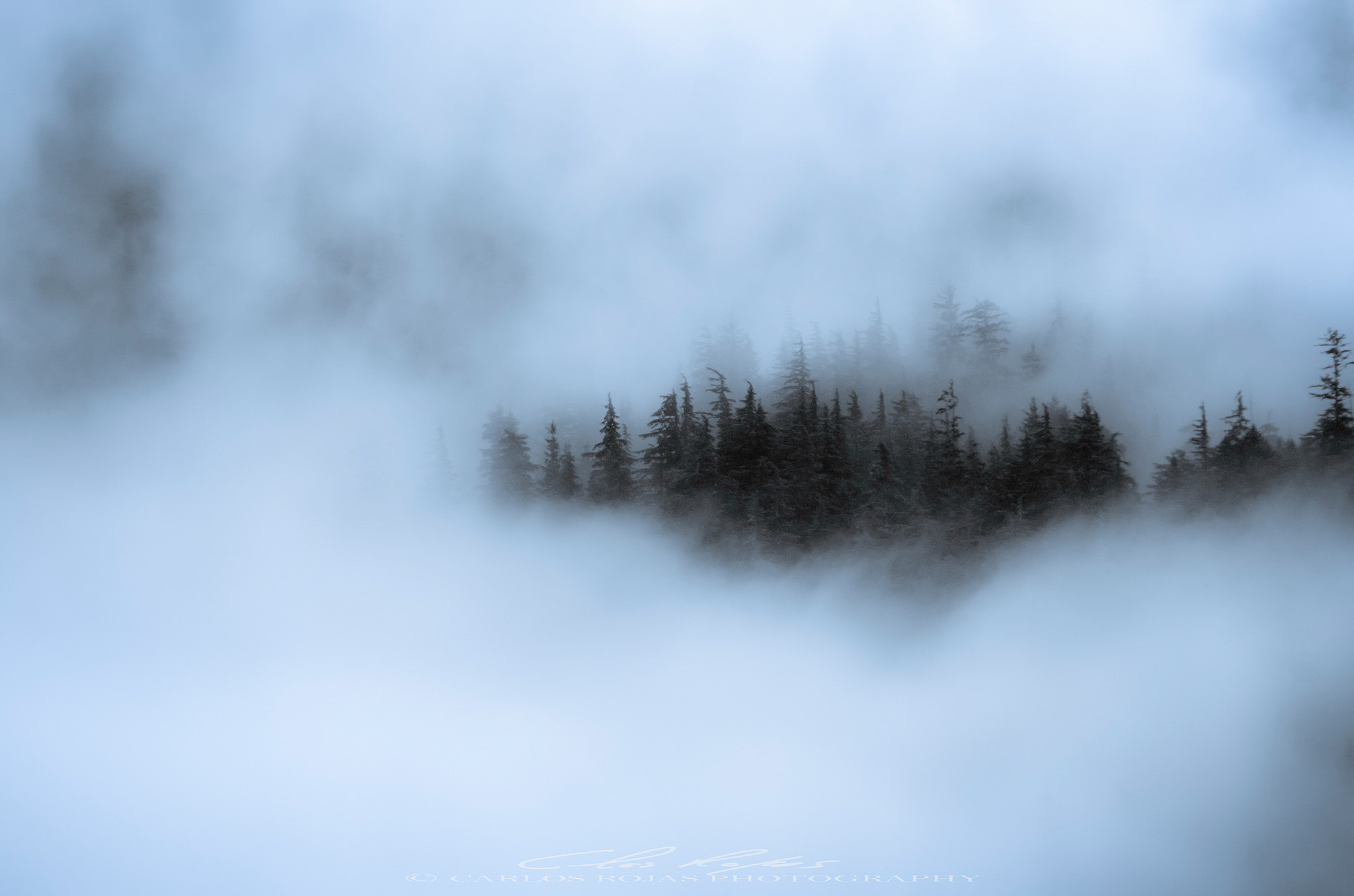 Tamron AF 18-200mm F3.5-6.3 XR Di II LD Aspherical (IF) Macro sample photo. Forest in the mist photography