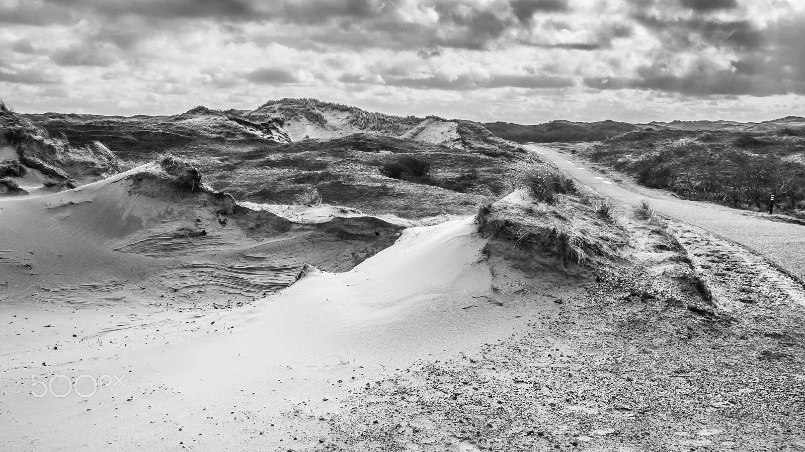 Olympus OM-D E-M5 + Panasonic Lumix G 14mm F2.5 ASPH sample photo. Wild dunes photography