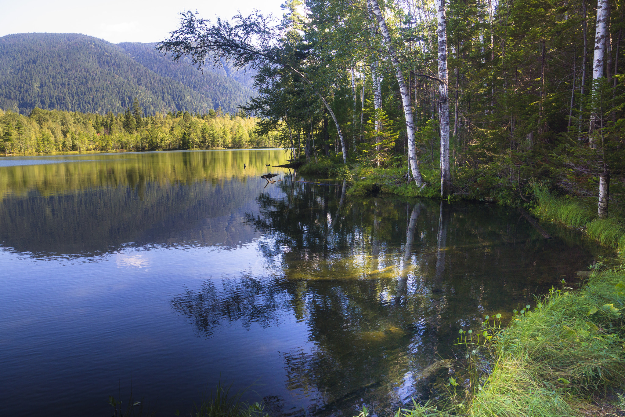 v2?sig=53bee06ad8c518bcb4e96c6b46597062370a282c1a72c338c0f83ff8291a6222