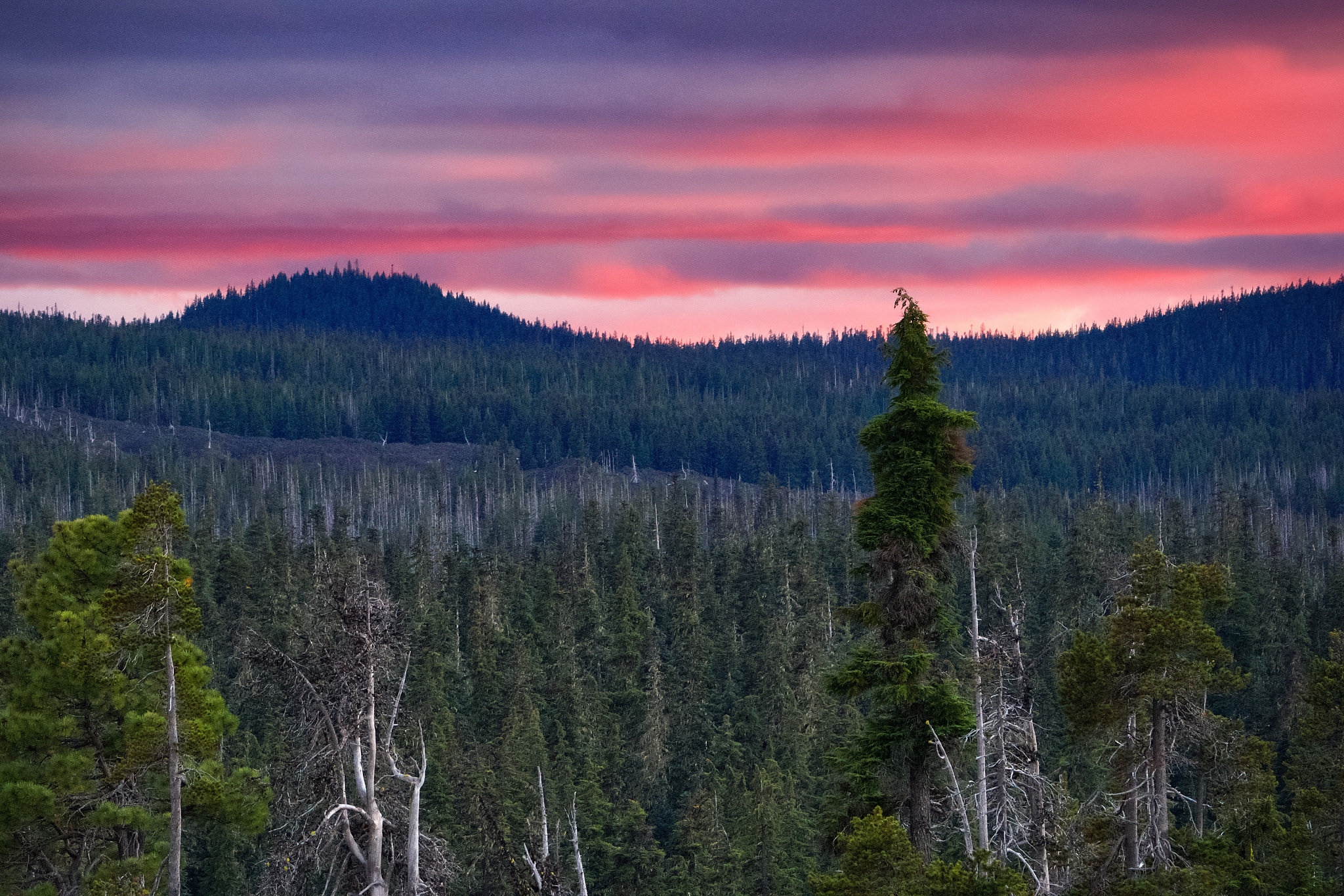 Sony a99 II + Sony 70-400mm F4-5.6 G SSM sample photo. Mckenzie pass sunset 1 photography