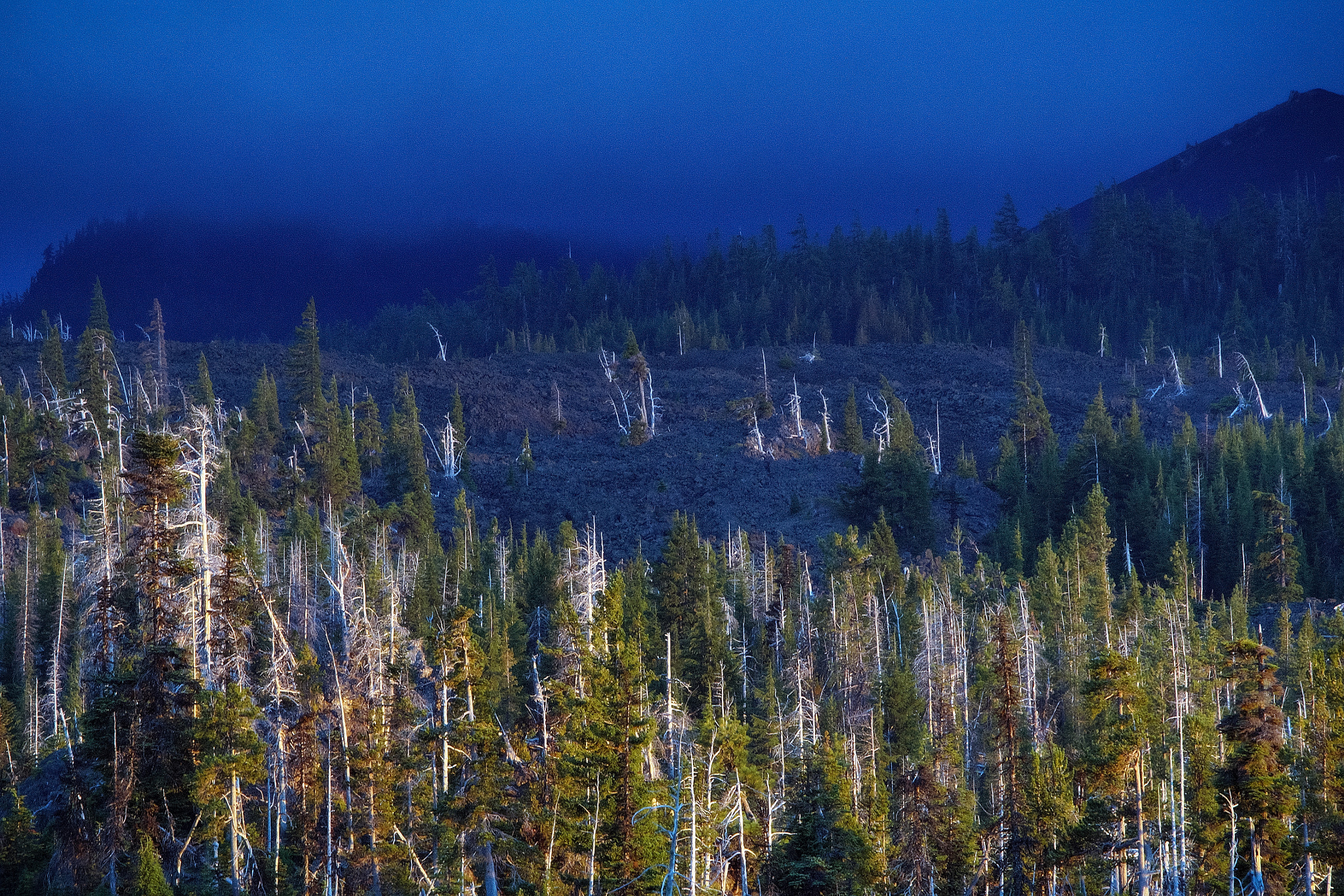 Sony a99 II sample photo. Mckenzie pass sunset 2 photography