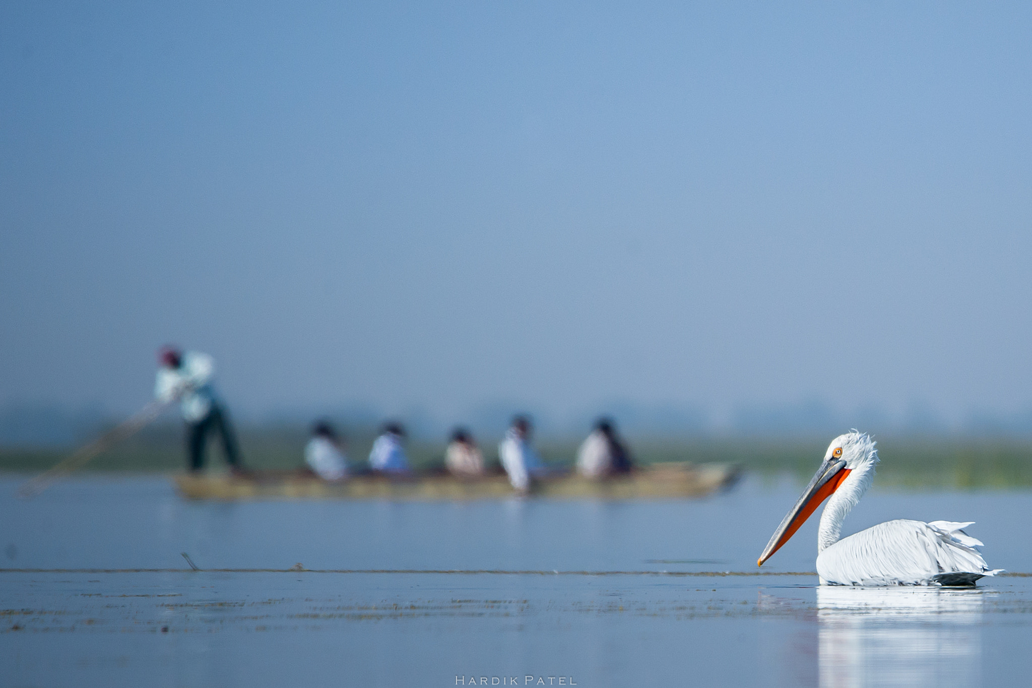 Nikon D4S sample photo. Nalsarovar bird sanctuary.. photography