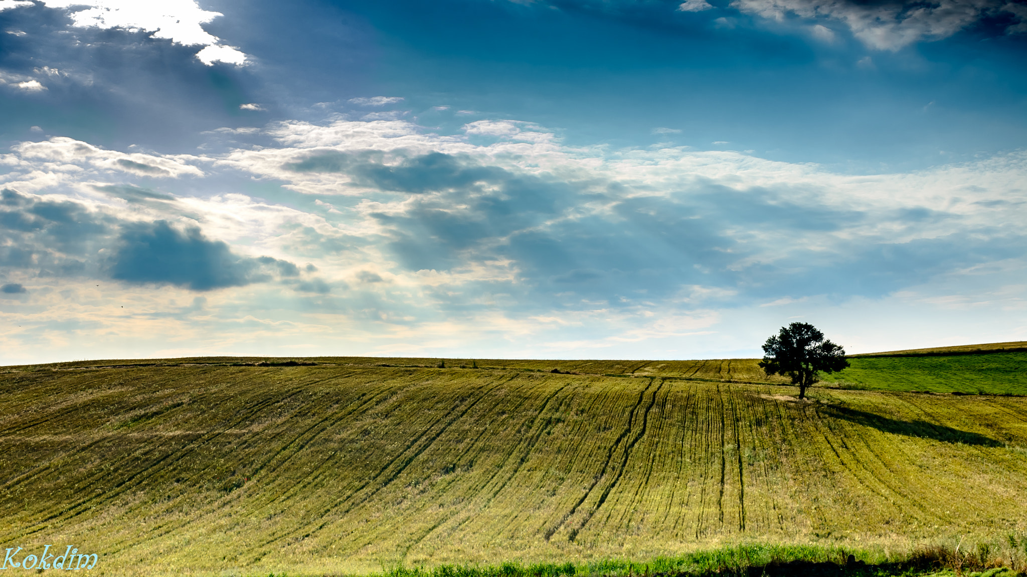 Nikon D7100 + AF Zoom-Nikkor 35-70mm f/2.8D sample photo. A spring afternoon in greece photography