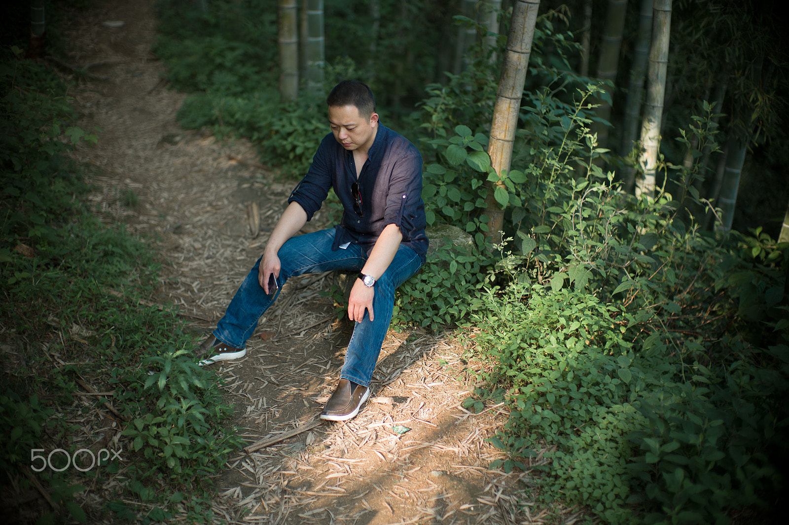 Leica M9 + Noctilux-M 50mm f/1 sample photo. 森林 photography