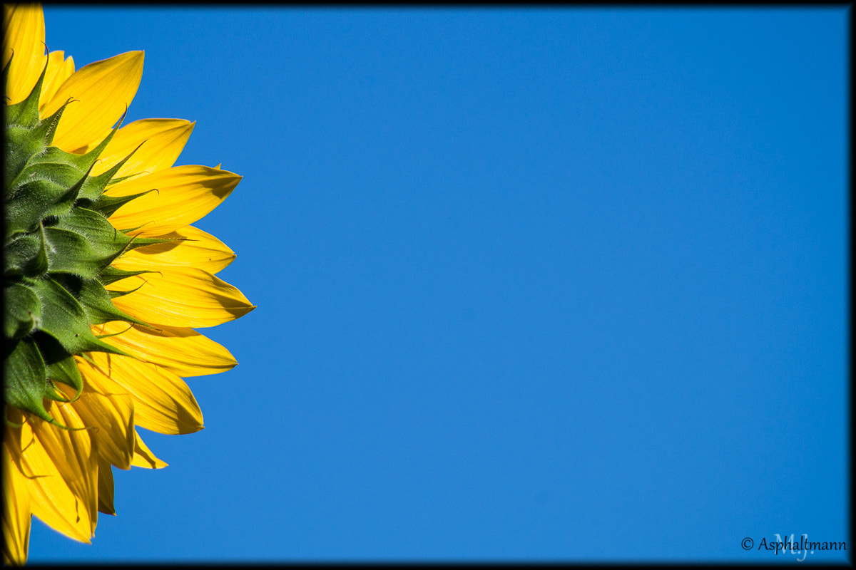 HD Pentax DA 55-300mm F4.0-5.8 ED WR sample photo