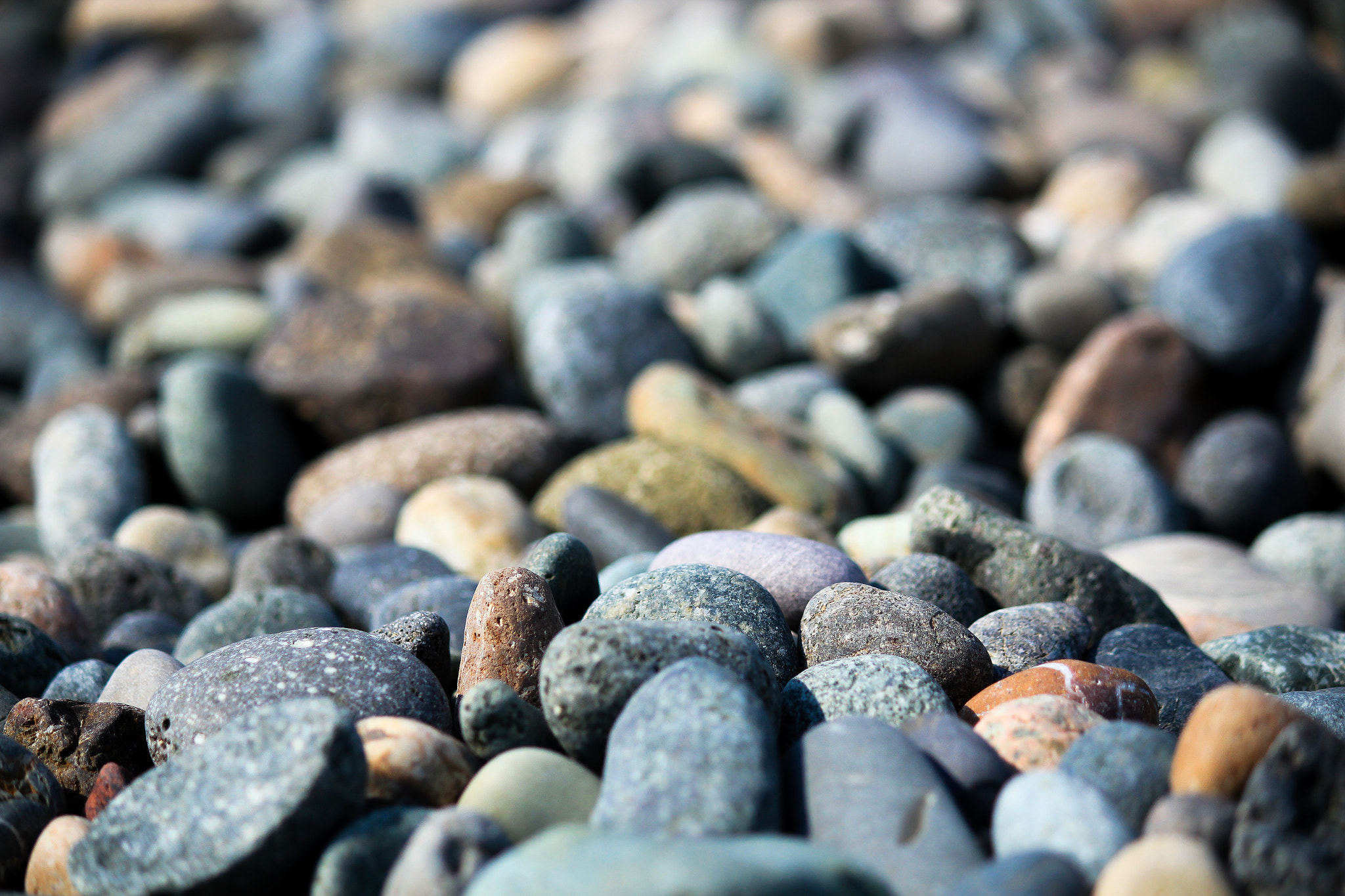Canon EOS 550D (EOS Rebel T2i / EOS Kiss X4) sample photo. Pebbles photography