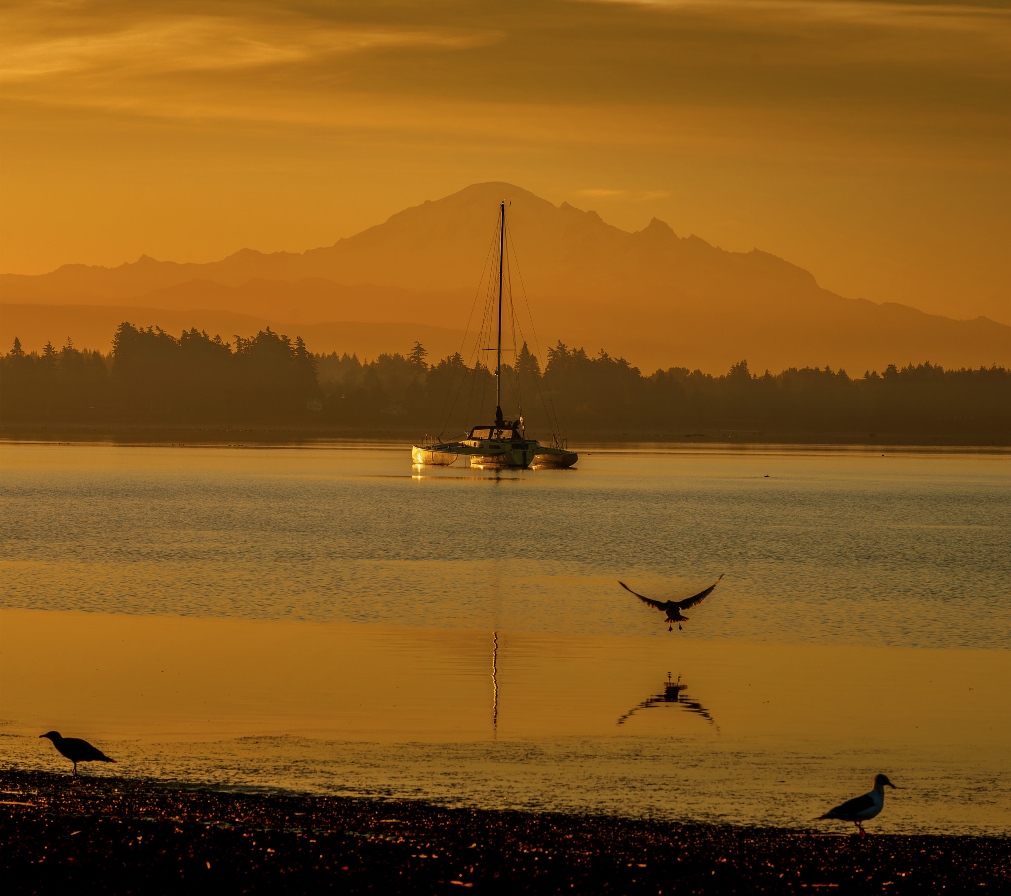 AF-S Zoom-Nikkor 80-200mm f/2.8D IF-ED sample photo. Catamaran photography