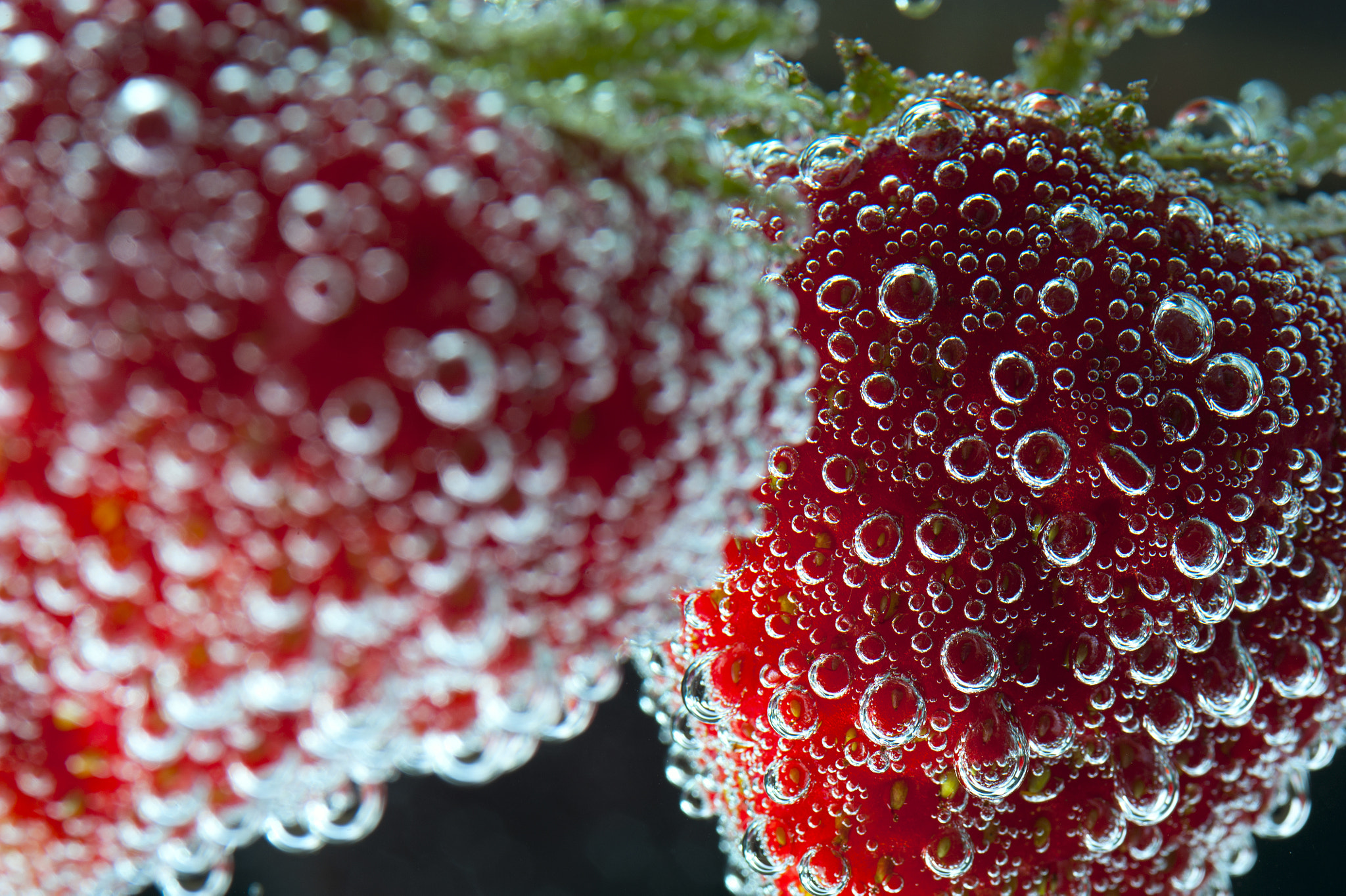 Nikon D700 + AF Micro-Nikkor 105mm f/2.8 sample photo. Strawberries in water with bubbles, closeup photography