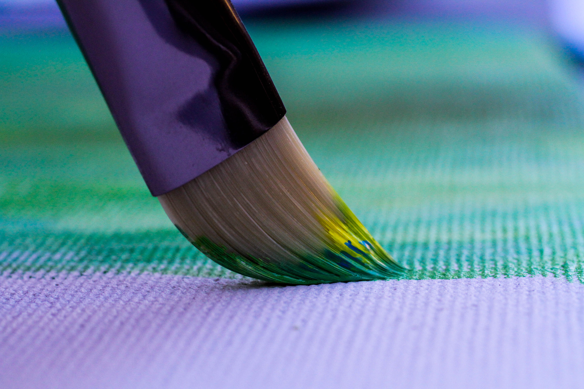 Canon EF 50mm F2.5 Macro sample photo. Painting photography