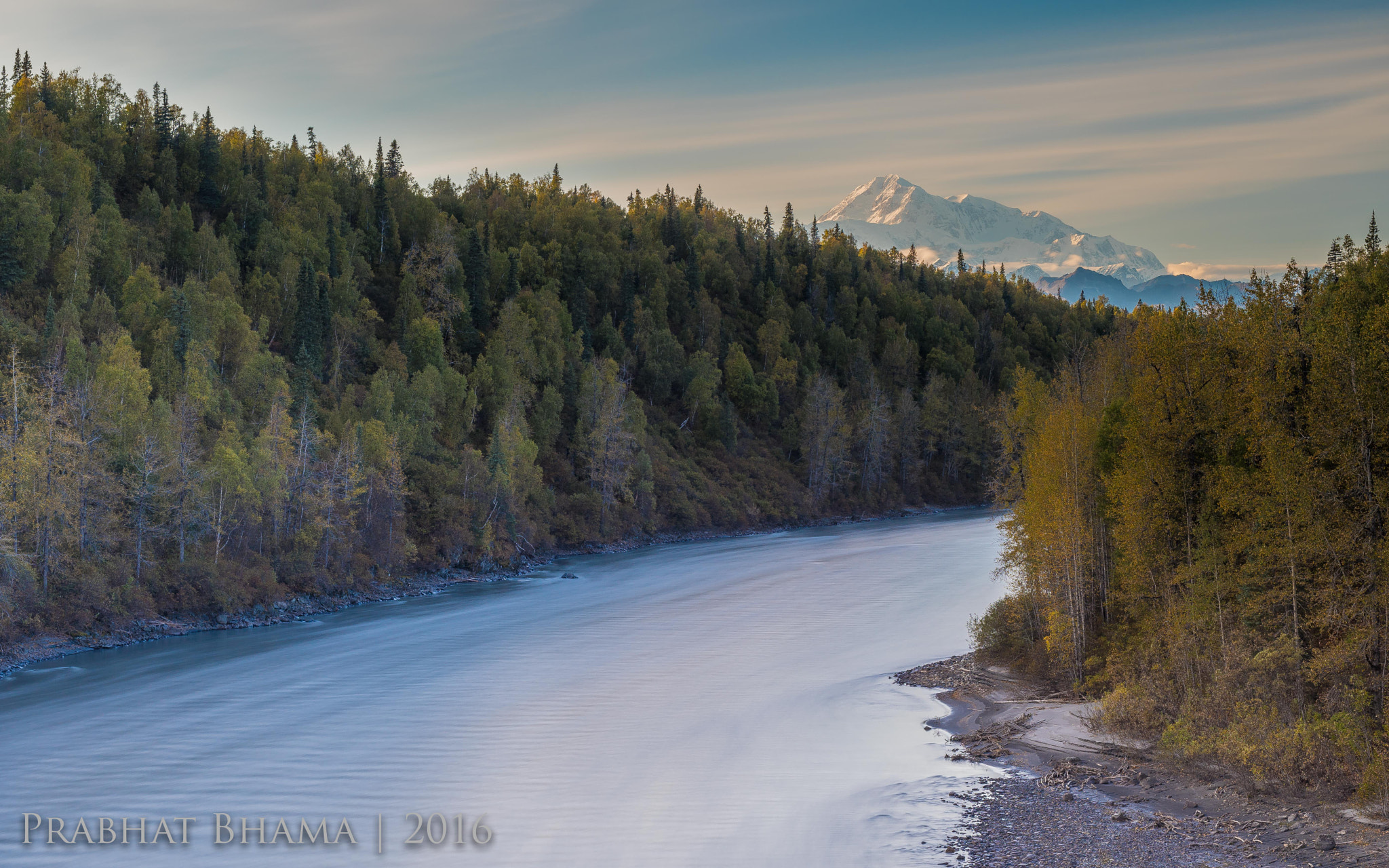 Nikon D500 + Sigma 50mm F1.4 DG HSM Art sample photo. Denali photography