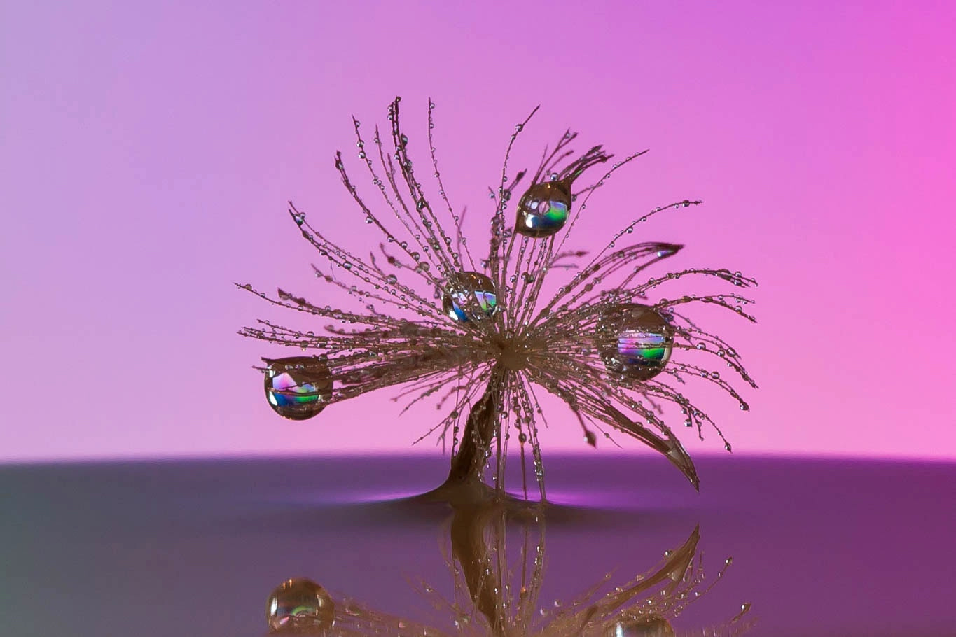 Canon EF 100mm F2.8 Macro USM sample photo. Droplets photography