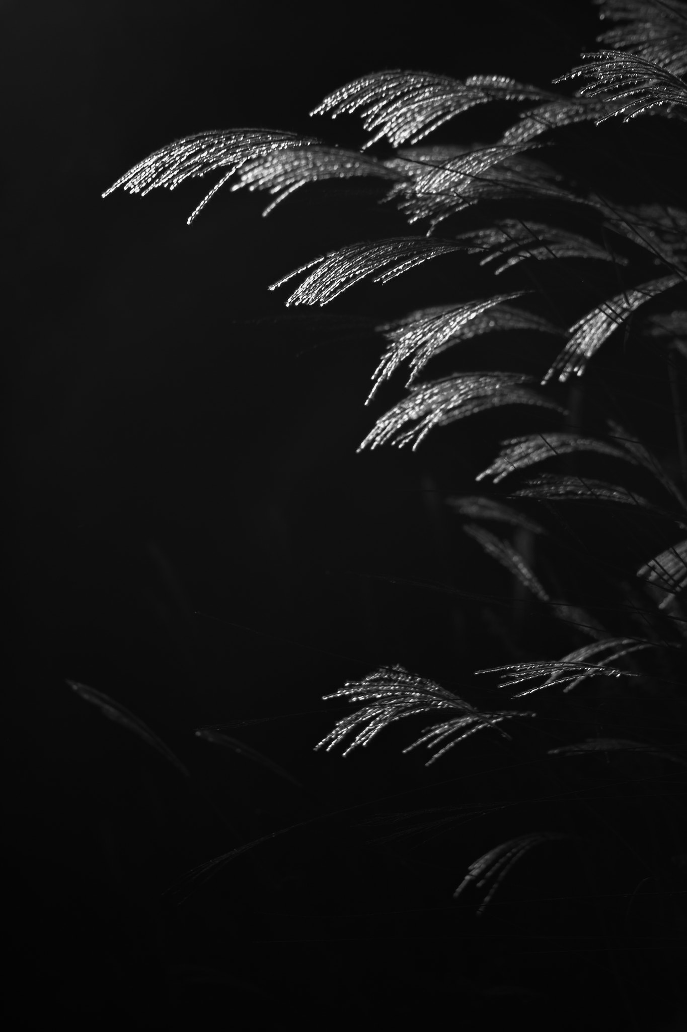 Canon EF 75-300mm f/4-5.6 USM sample photo. ... photography