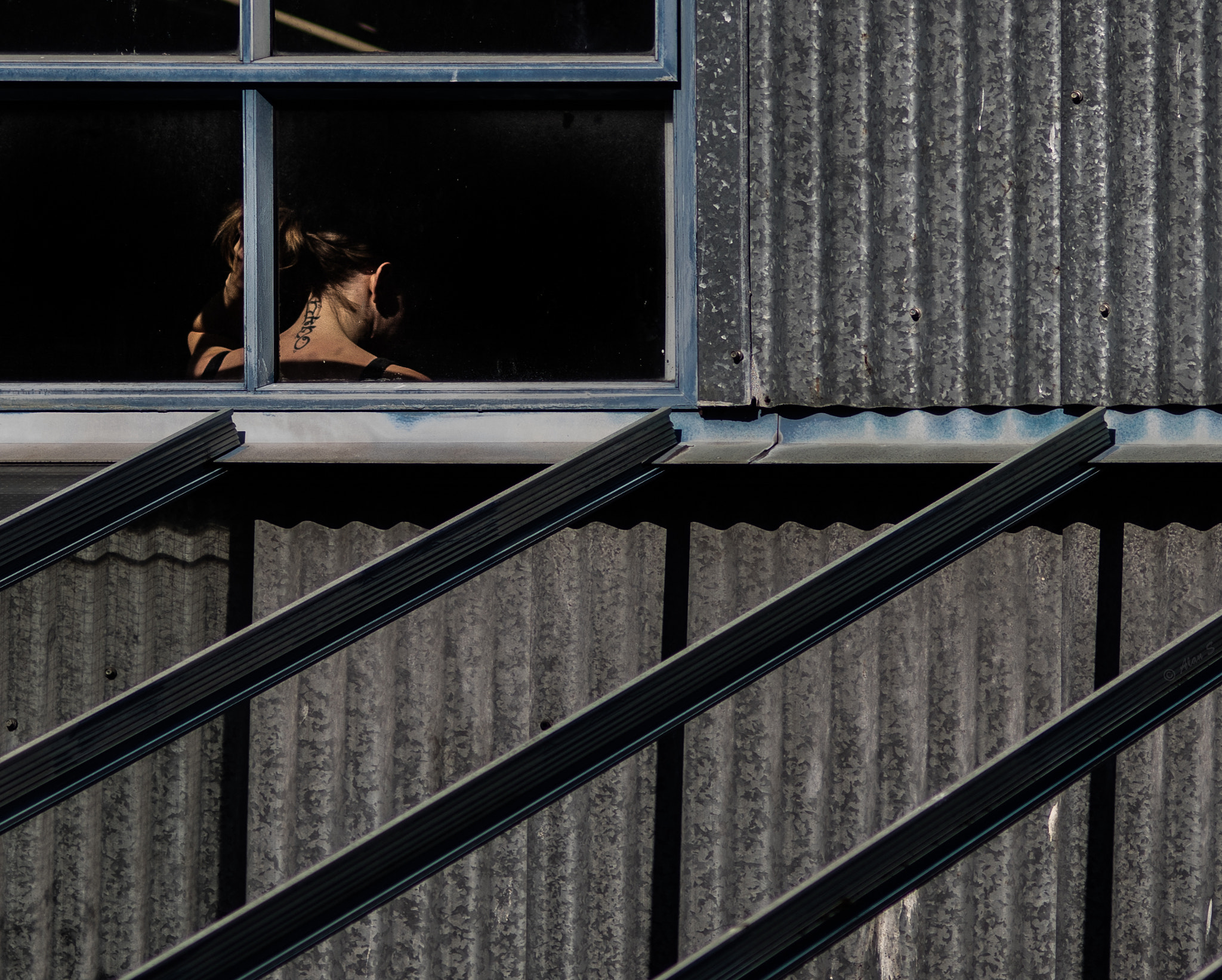 ZEISS Makro-Planar T* 100mm F2 sample photo. Windows photography