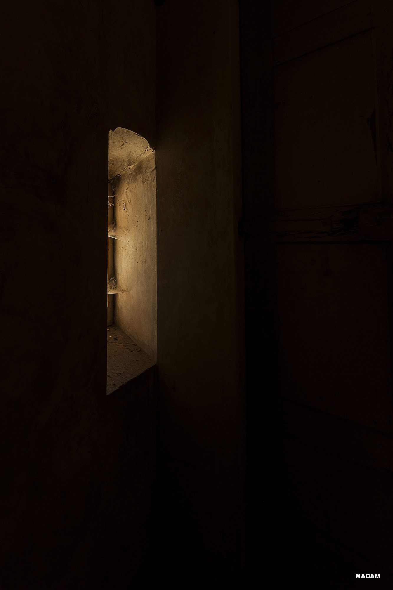 Canon EF 14mm F2.8L II USM sample photo. Golden light photography