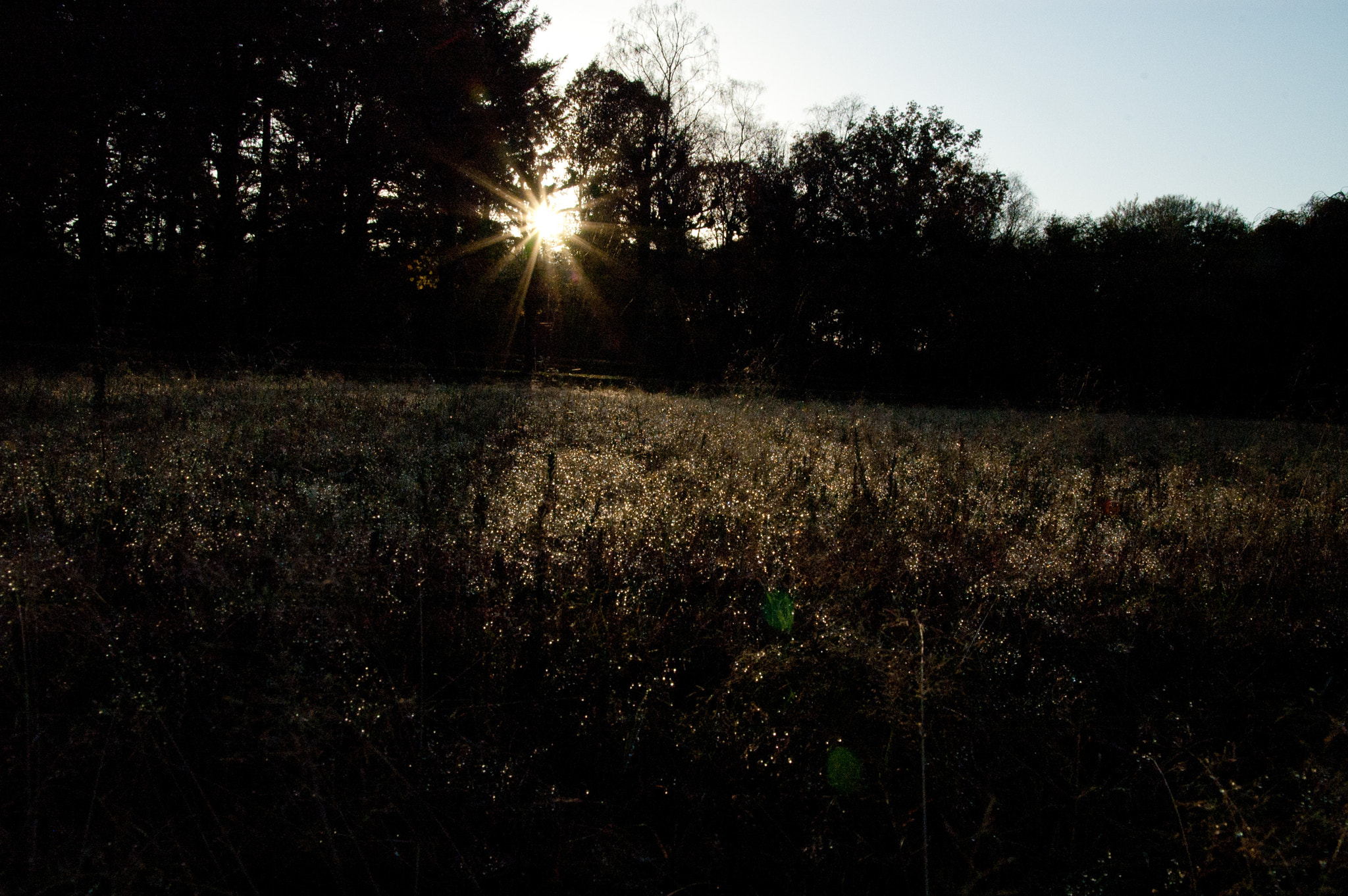 Nikon D70 sample photo. Evening sun photography