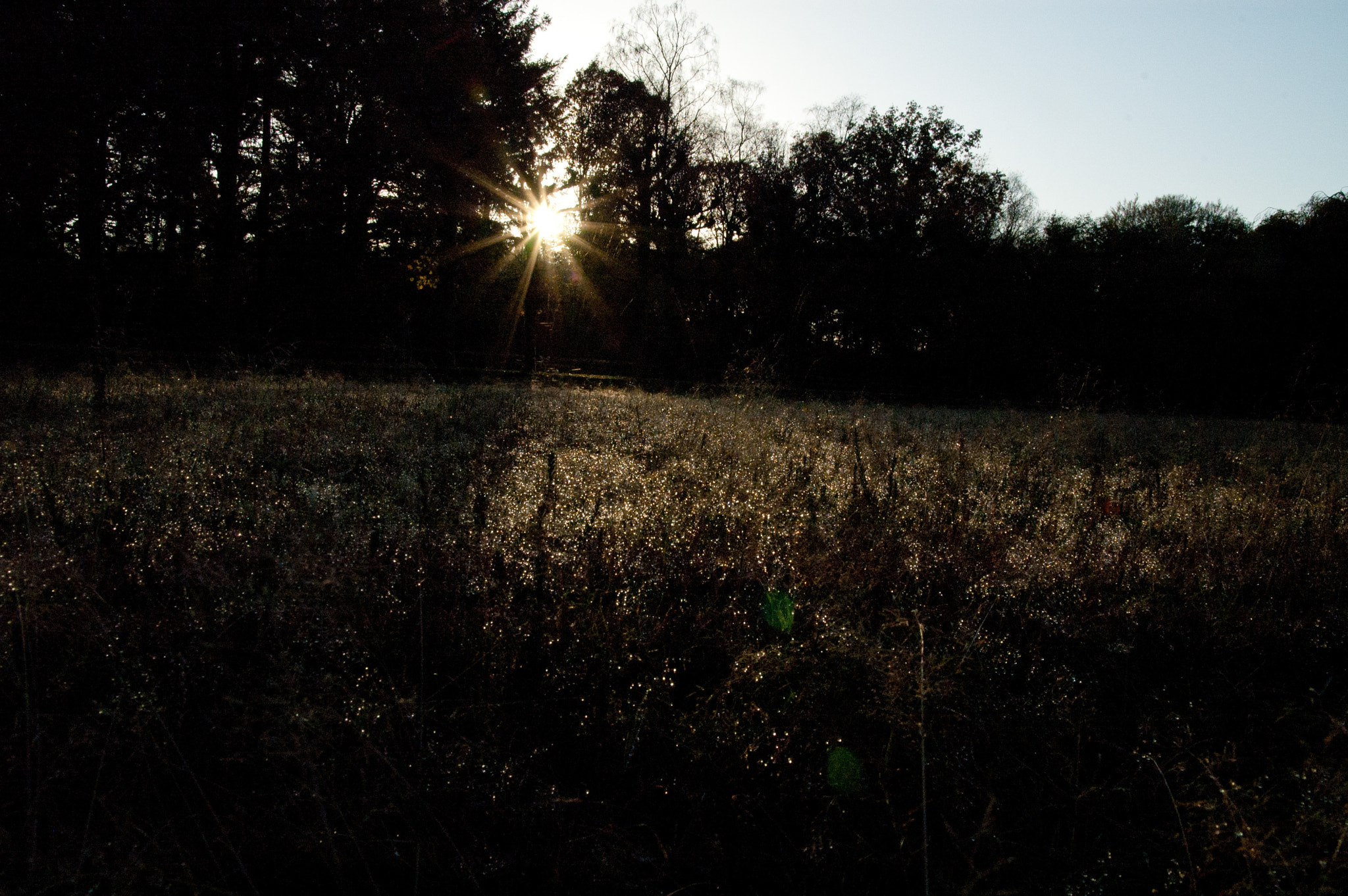 Nikon D70 + Sigma 17-70mm F2.8-4.5 DC Macro Asp. IF sample photo. Evening sun photography