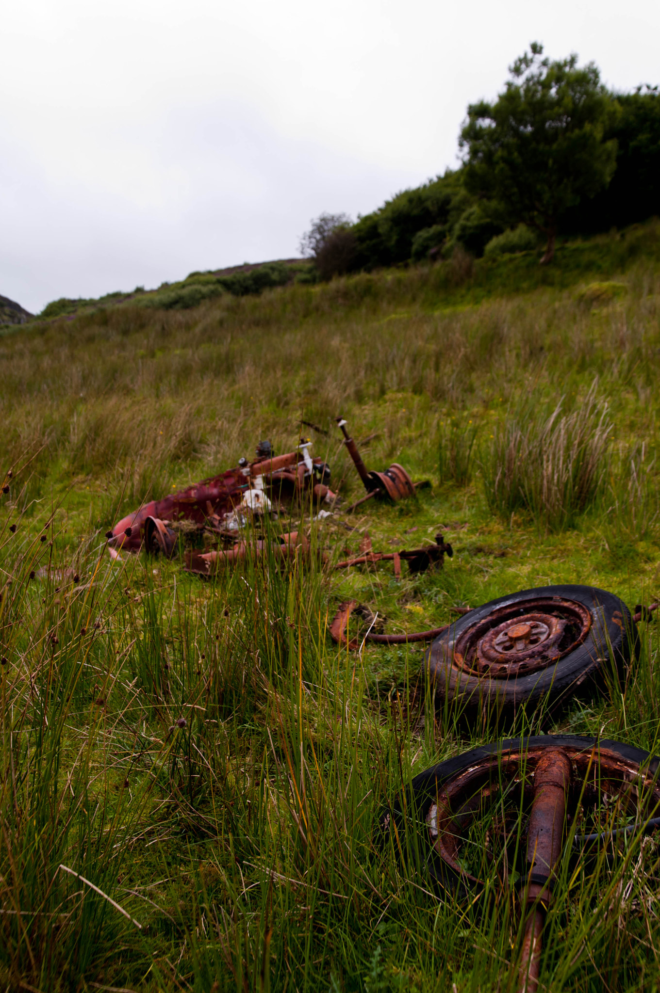 Nikon D300 sample photo. Old tractor photography