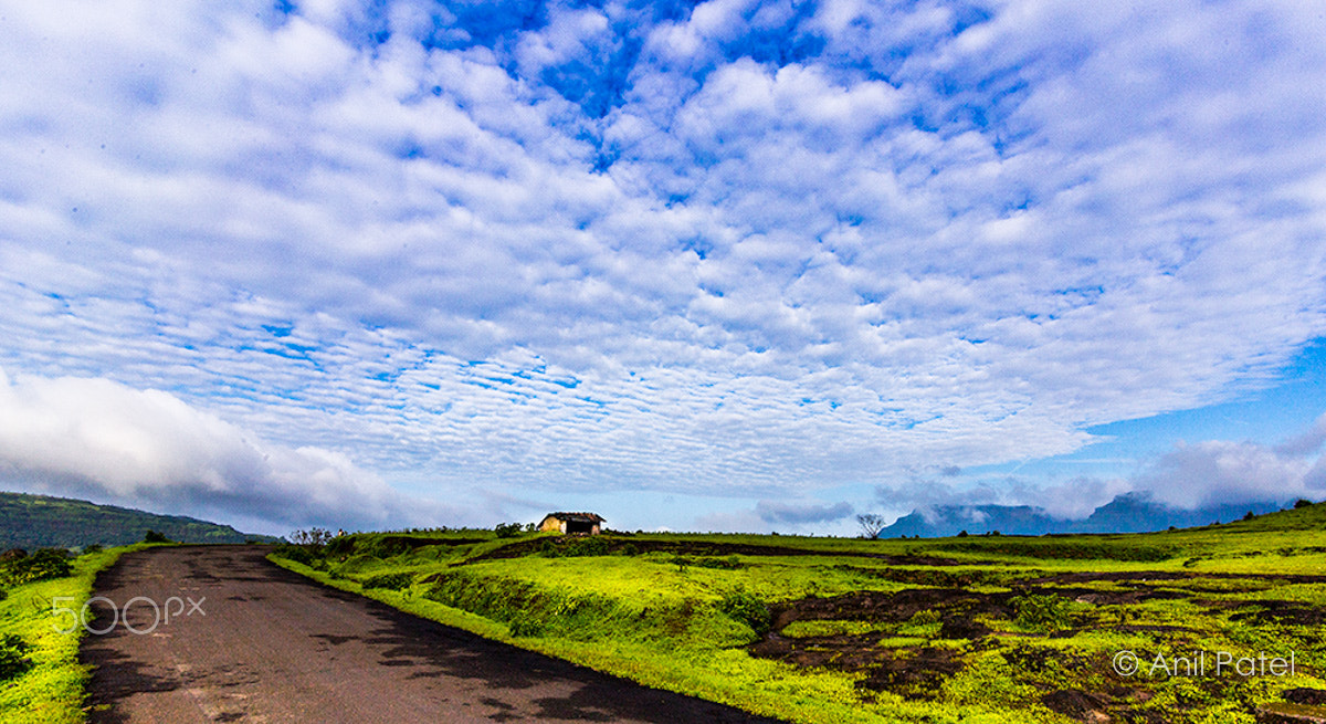 Canon EF-S 17-85mm F4-5.6 IS USM sample photo. Country road.... photography