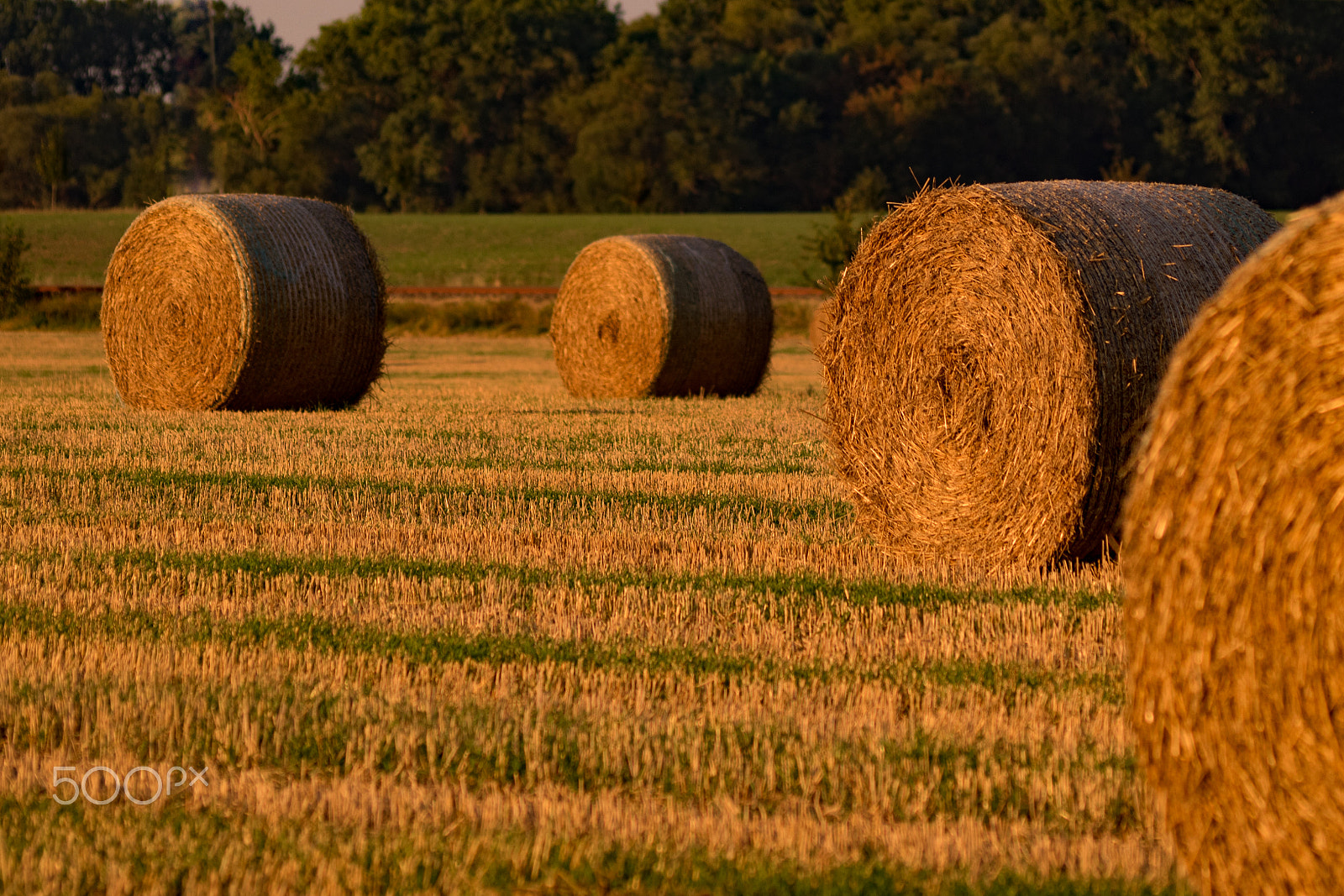 Olympus Zuiko Digital ED 70-300mm F4.0-5.6 sample photo. When the day's work is done photography