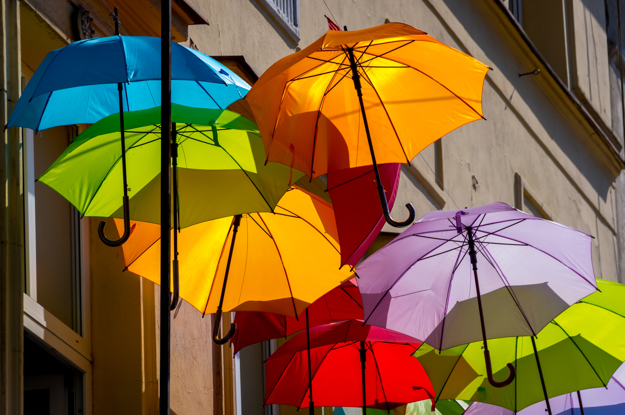 Sigma 18-250mm F3.5-6.3 DC Macro OS HSM sample photo. Brollies photography