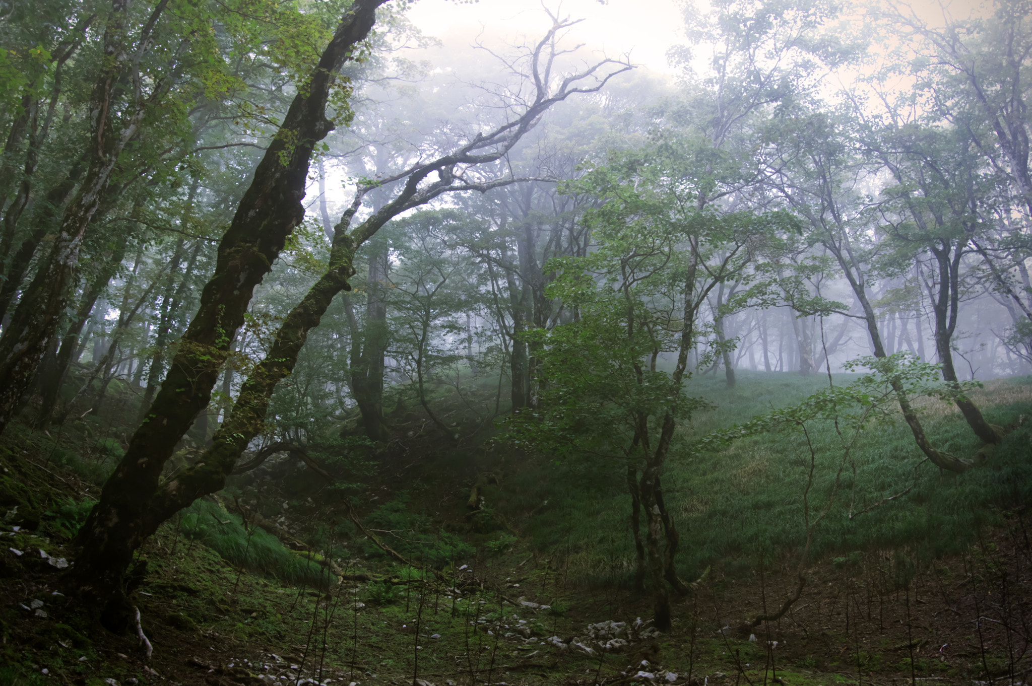 Pentax K-3 sample photo. Mt.oikedake / mie prefecture photography