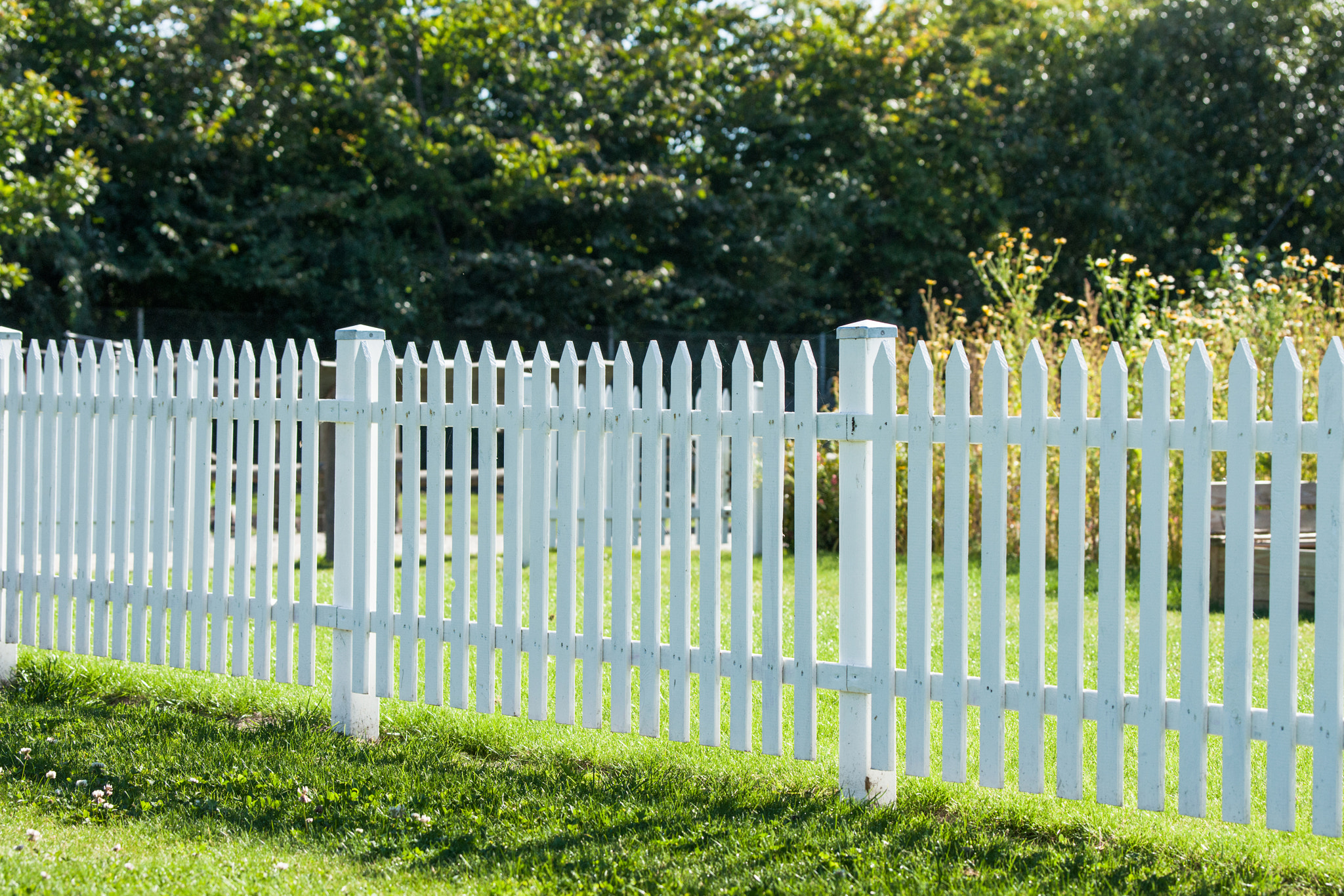 Sony 70-400mm F4-5.6 G SSM II sample photo. White picket fence in a garden photography