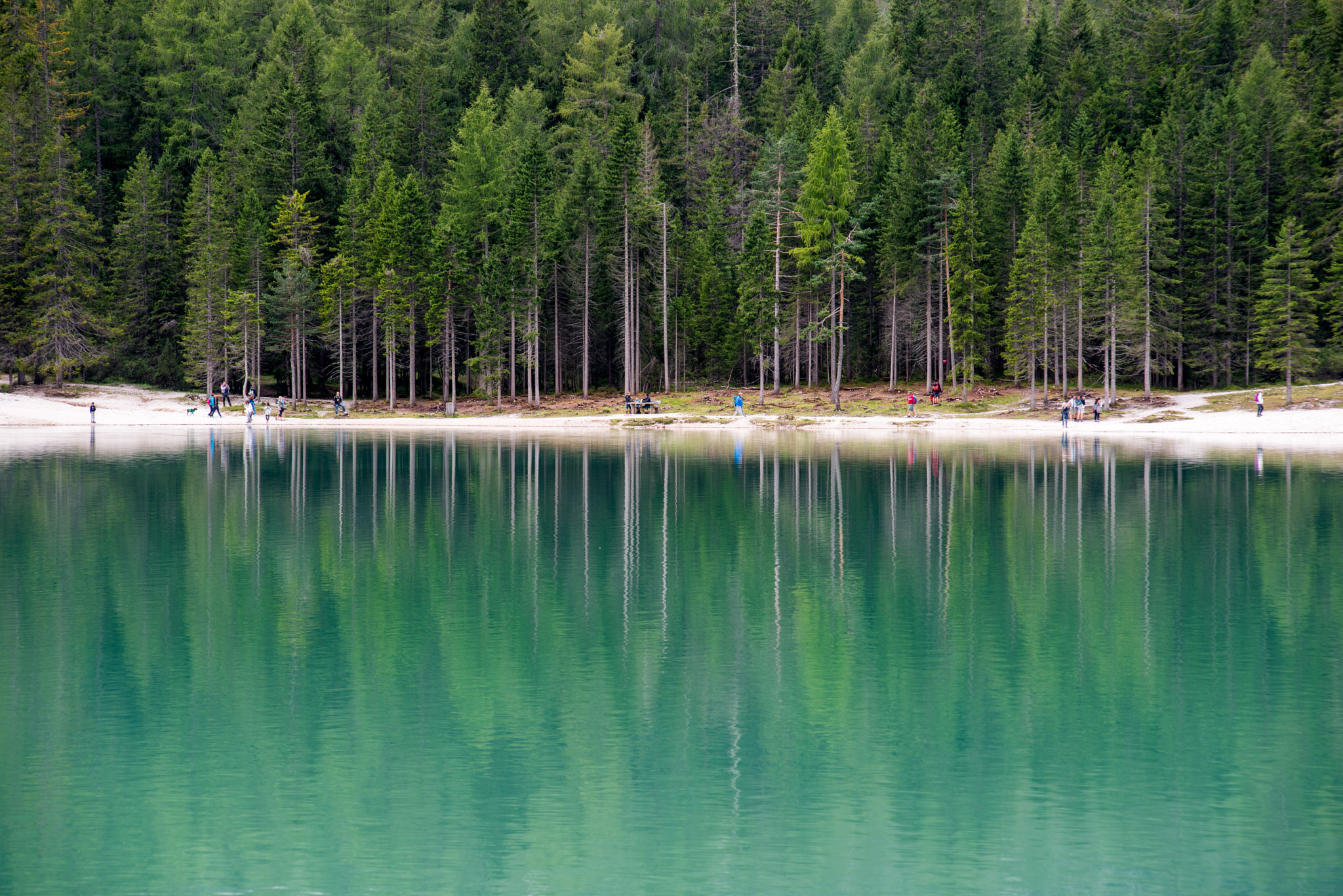 Sigma 70-200mm F2.8 EX DG OS HSM sample photo. - braies - photography