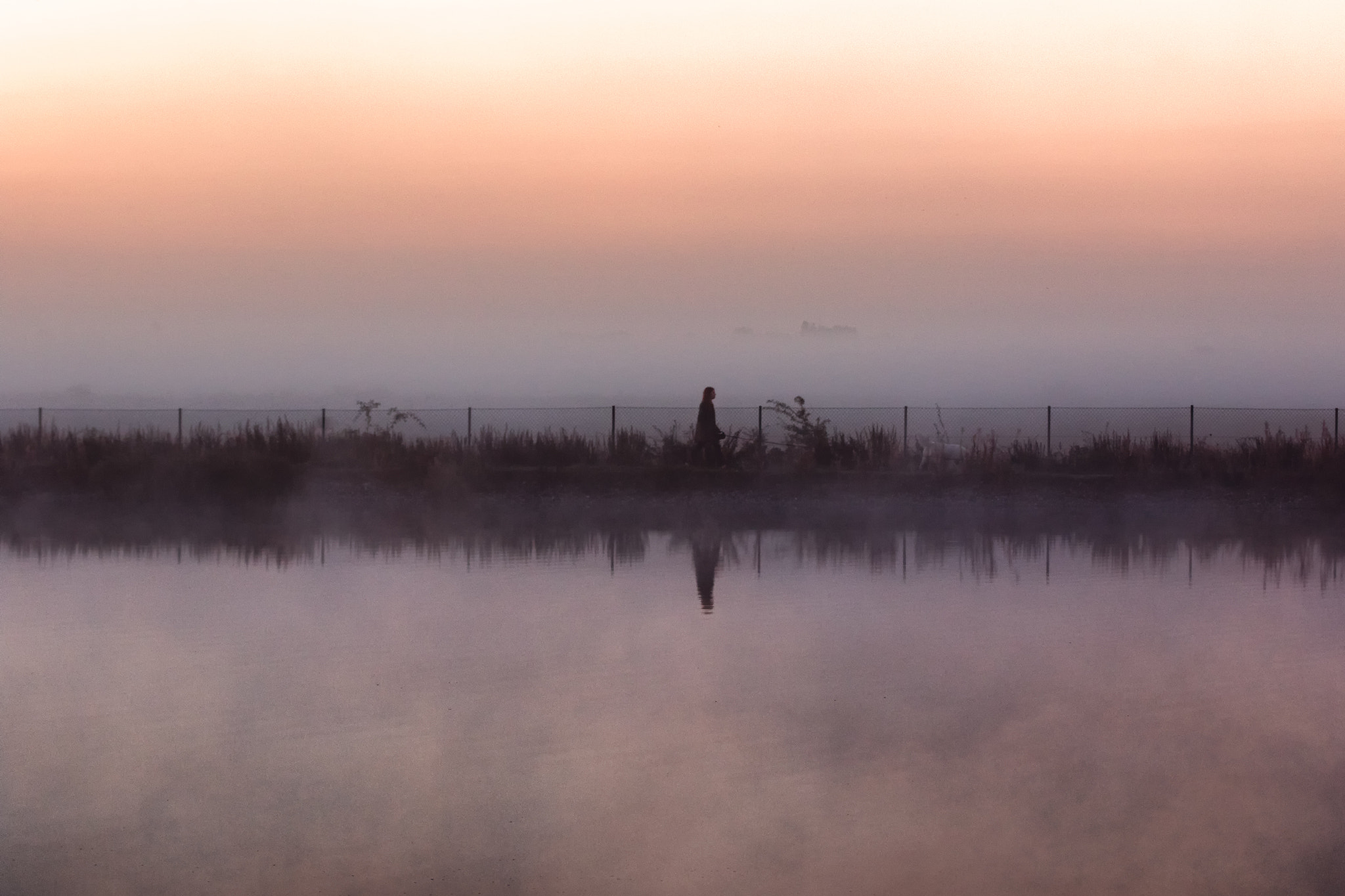 Tamron SP 35mm F1.8 Di VC USD sample photo. Mist walker photography