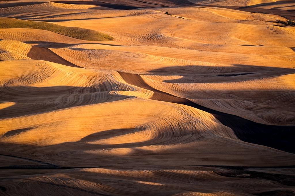 Fujifilm XF 100-400mm F4.5-5.6 R LM OIS WR sample photo. Golden farmland photography