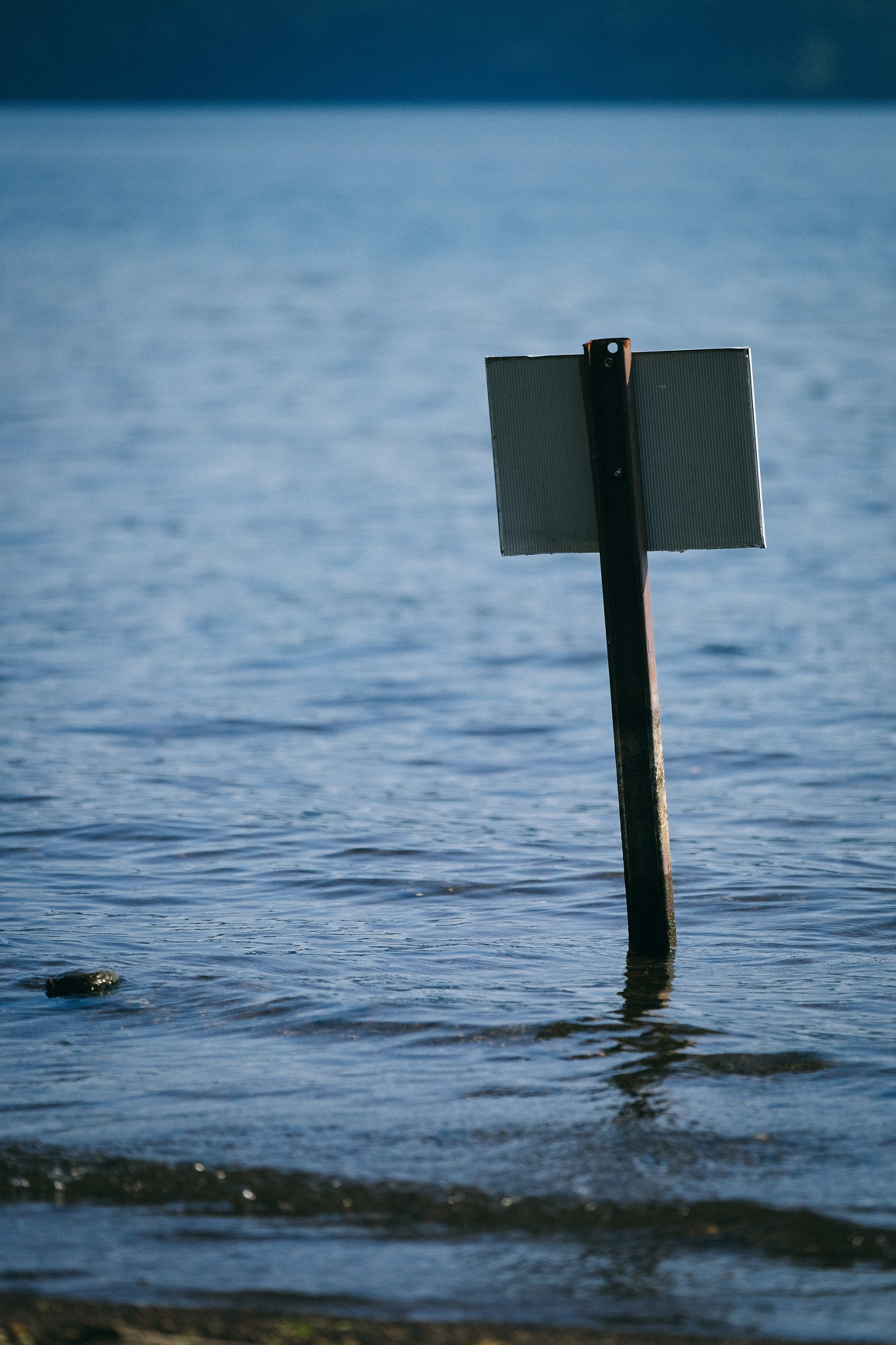 Fujifilm X-T10 + Fujifilm XF 50-140mm F2.8 R LM OIS WR sample photo. Pole in the water photography