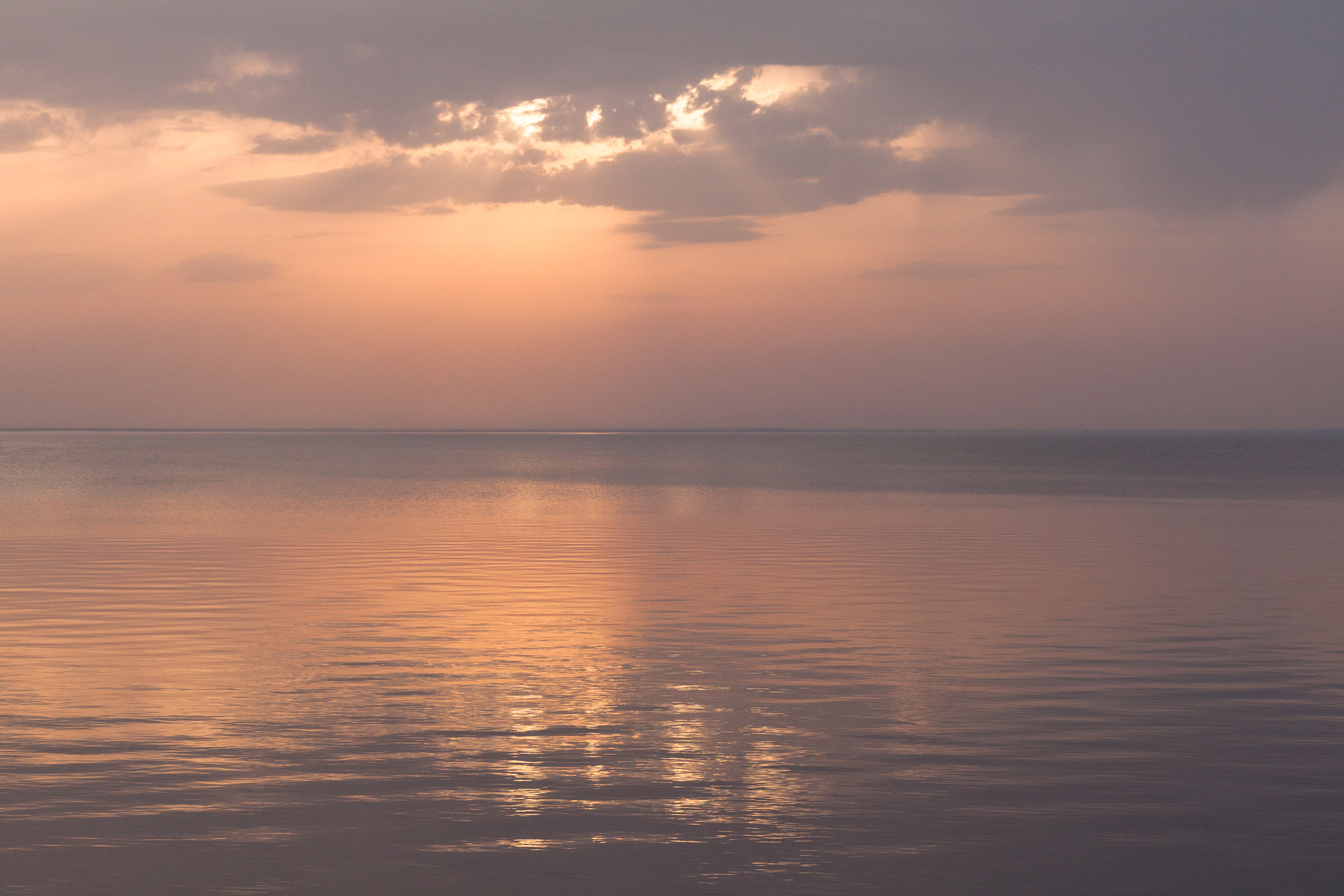ZEISS Planar T* 50mm F1.4 sample photo. Soft silence photography
