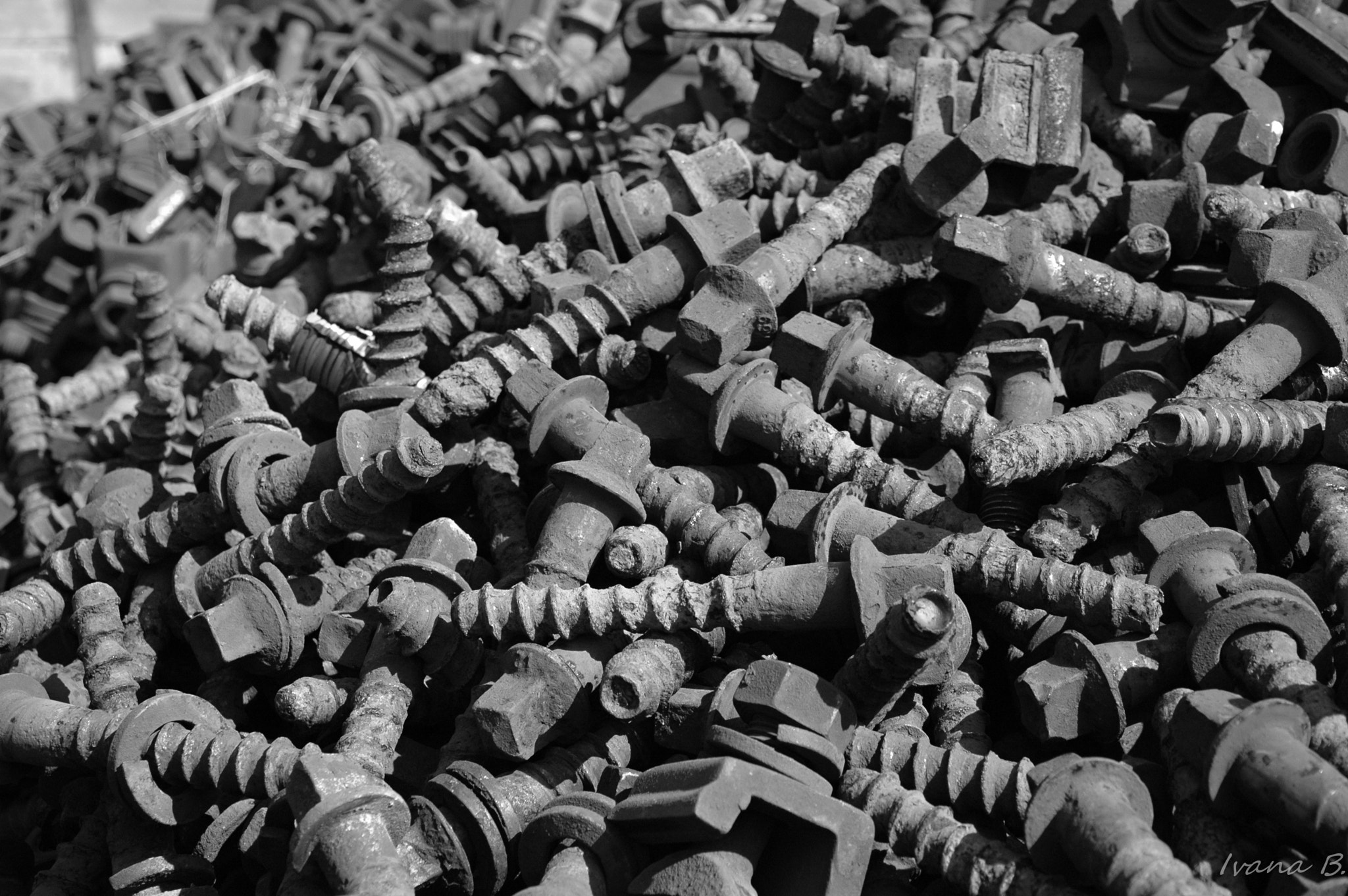 Nikon D70 sample photo. Screws photography