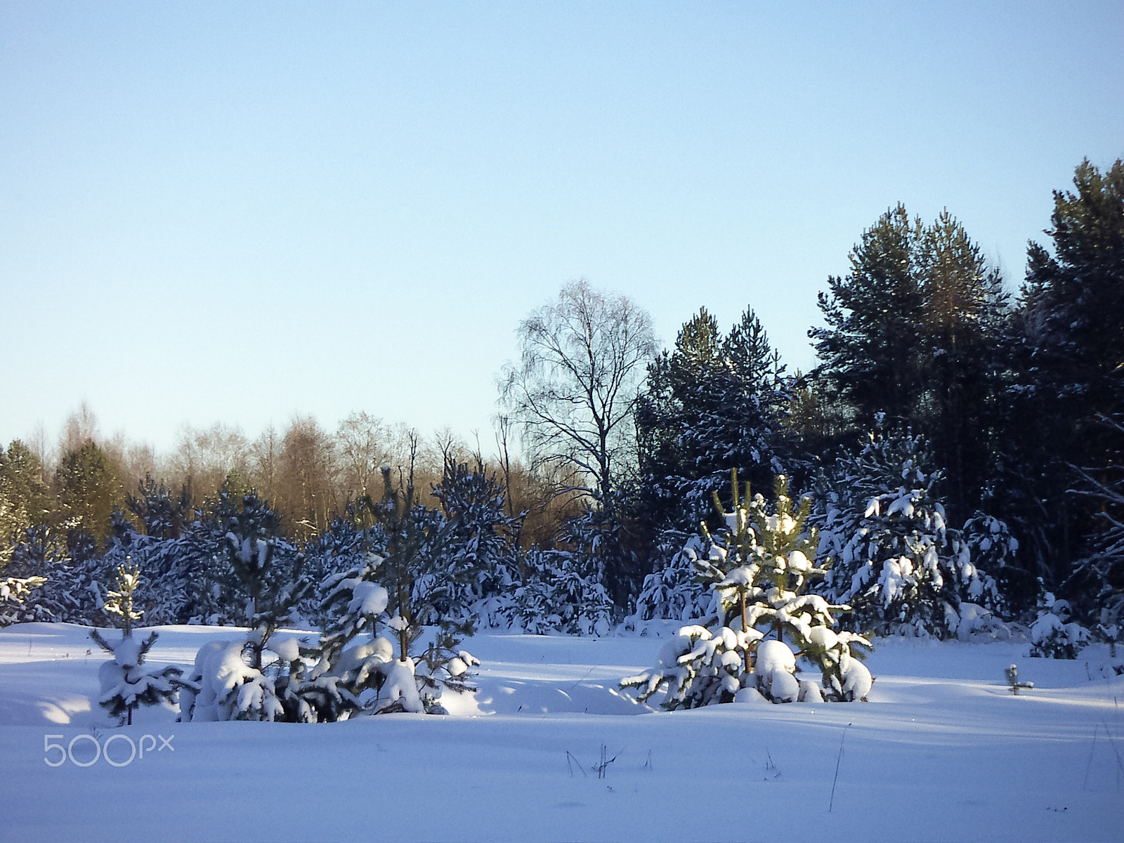 KONICA MINOLTA DiMAGE X31 sample photo. Winter landscape photography