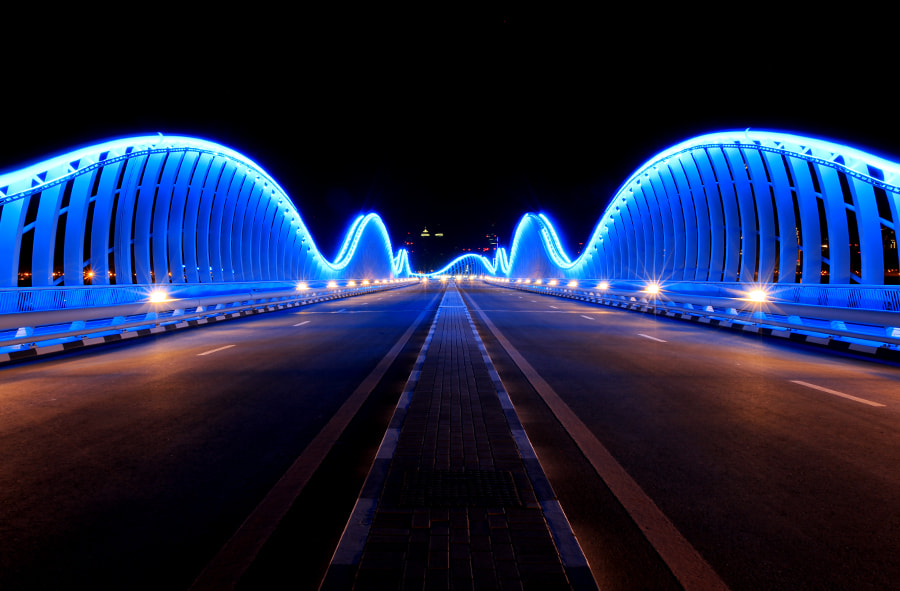 Canon EF 16-35mm F2.8L II USM sample photo. Meydan bridge, dubai photography