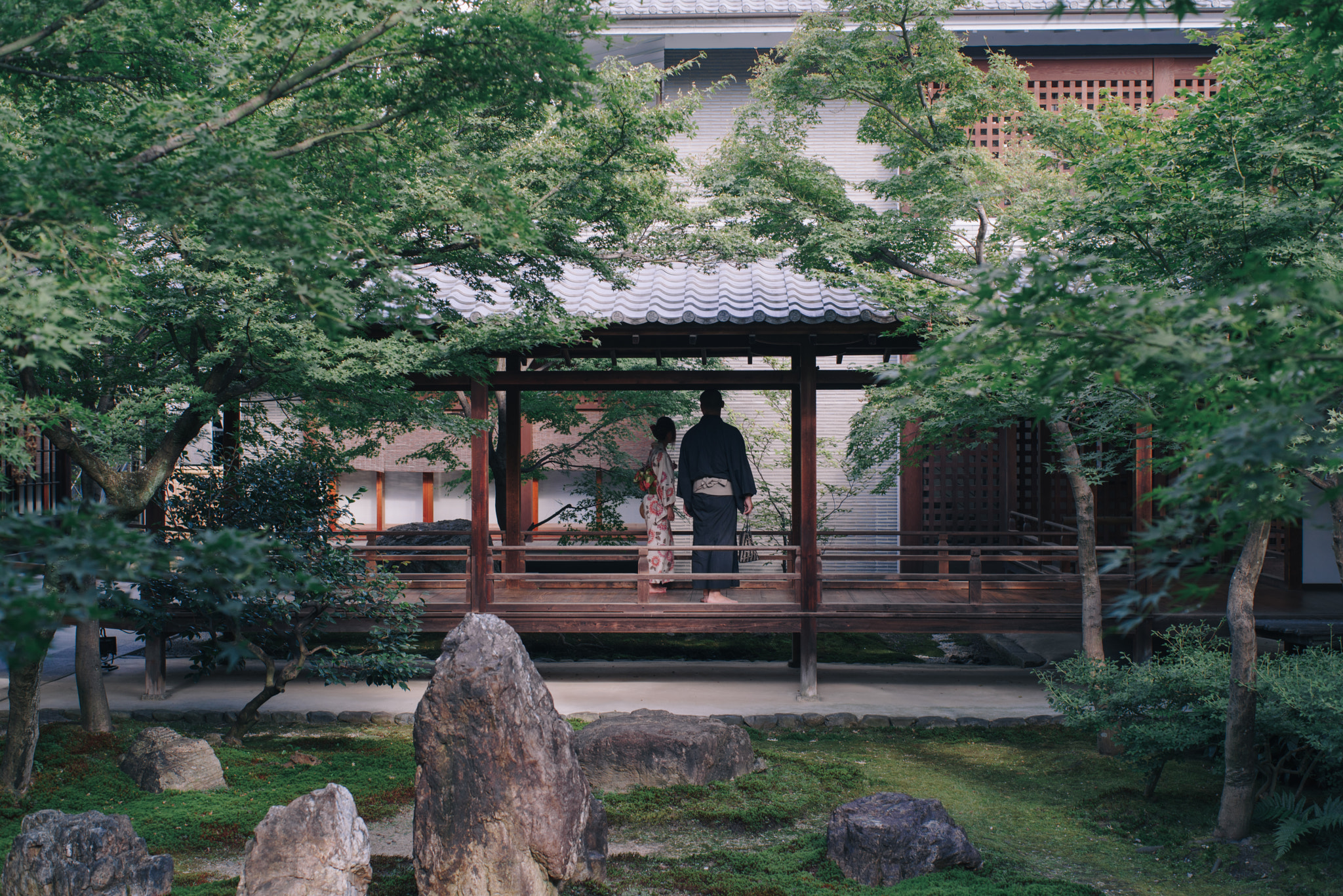 Pentax K-1 + Pentax smc FA 43mm F1.9 Limited sample photo. Untitled. photography