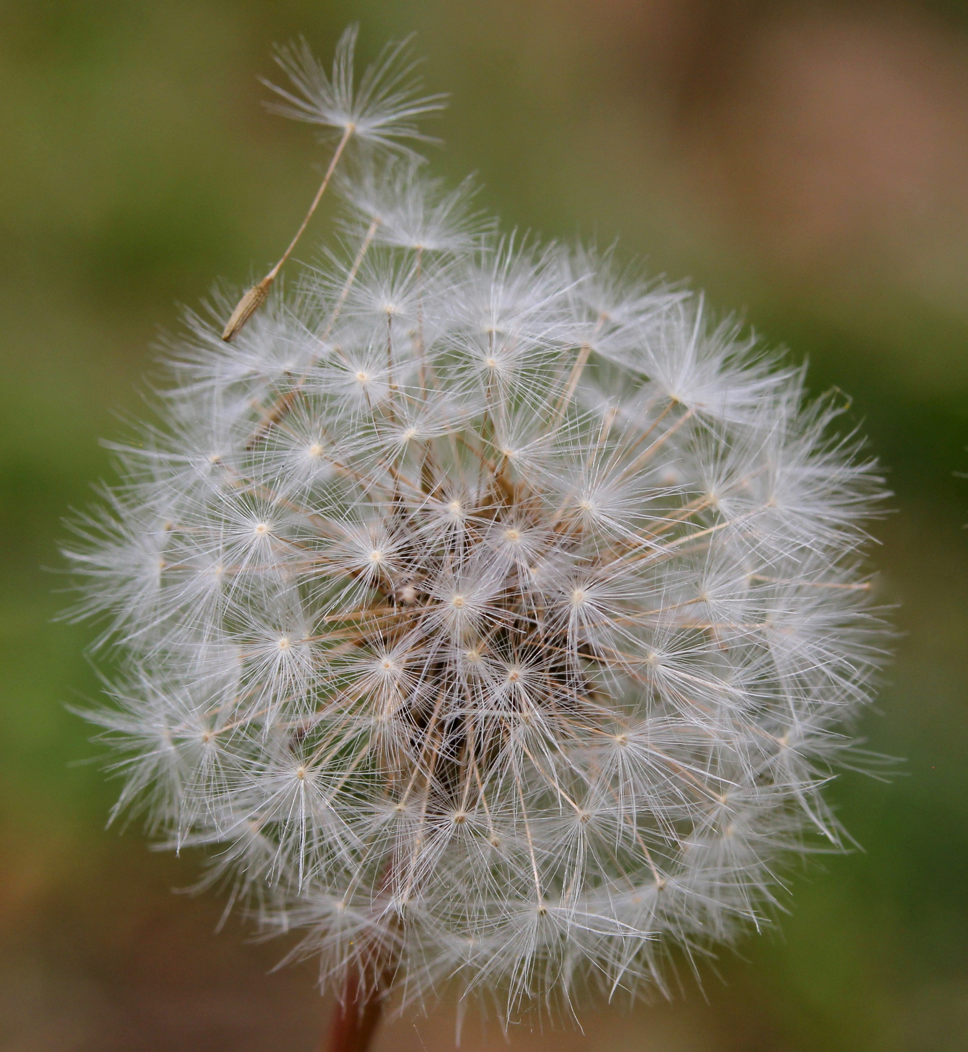 Sigma 105mm F2.8 EX DG OS HSM sample photo. Bon voyage photography