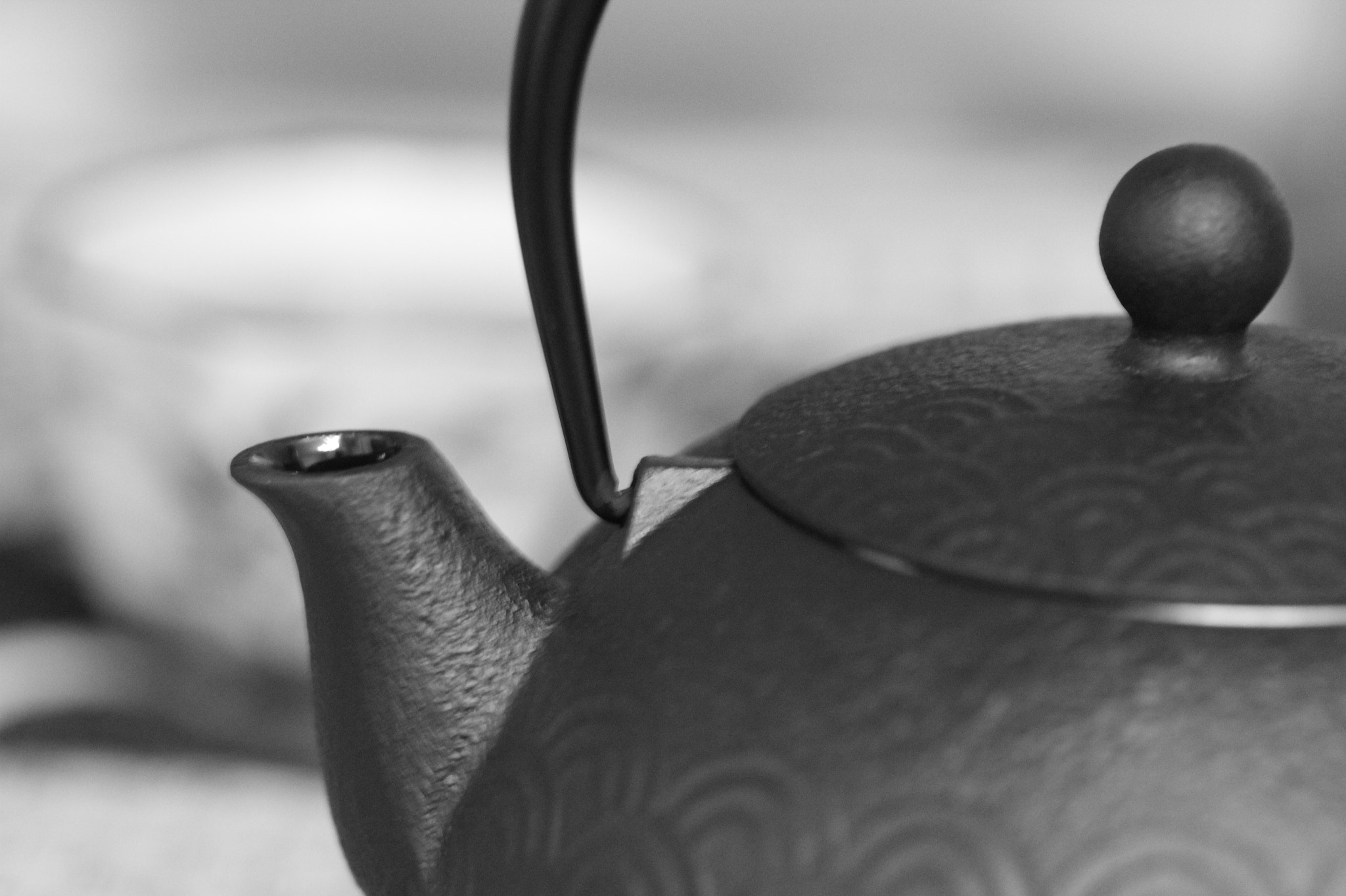 Canon EOS 550D (EOS Rebel T2i / EOS Kiss X4) sample photo. A teapot photography