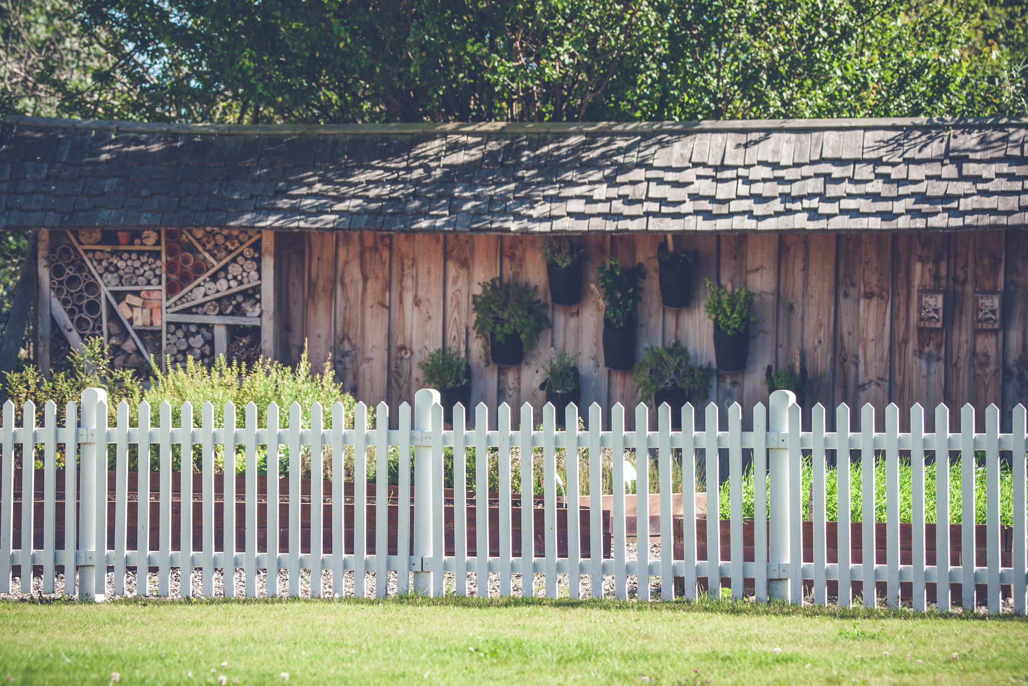 Sony 70-400mm F4-5.6 G SSM II sample photo. White picket fence in a garden photography