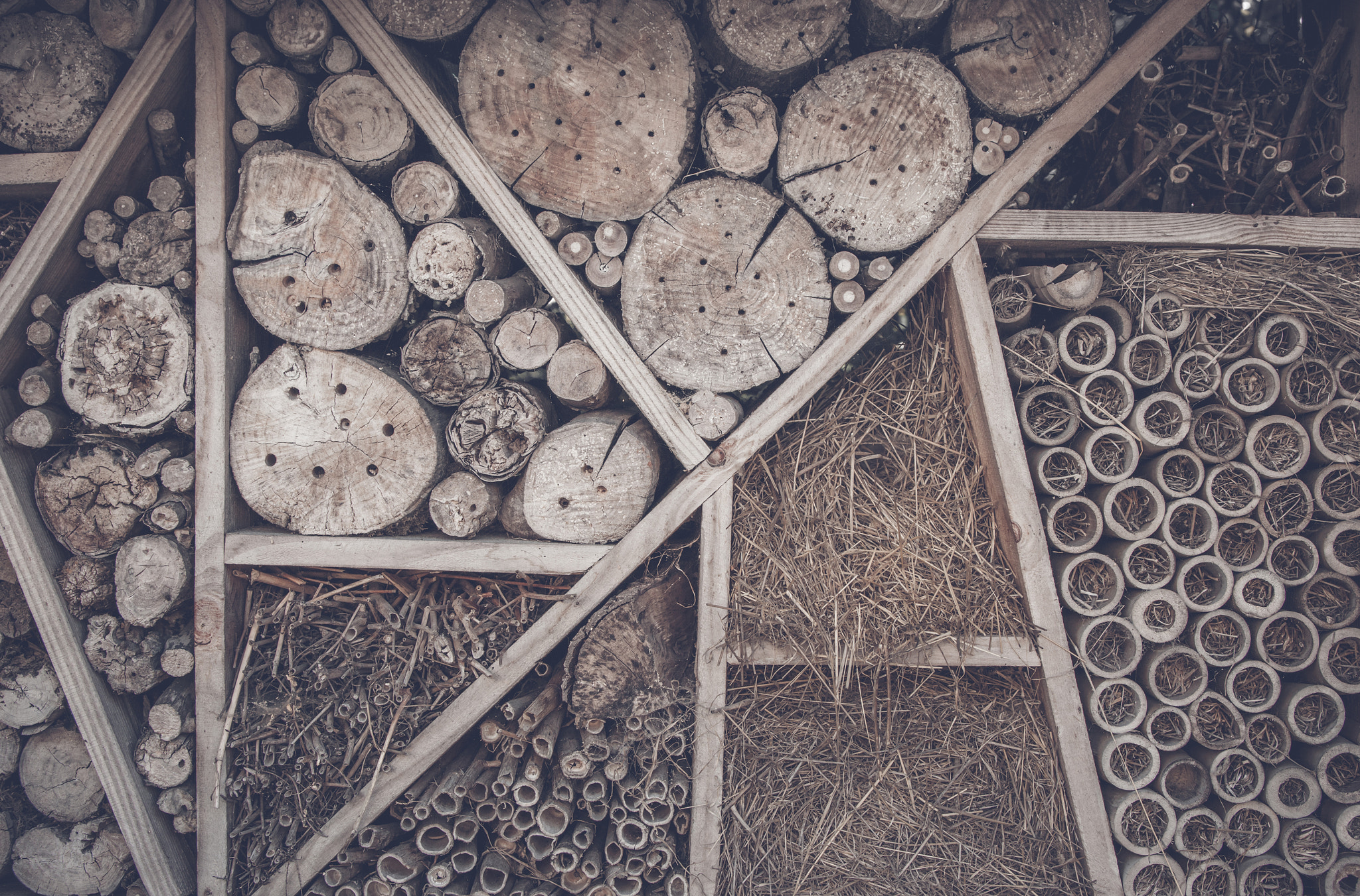 Sony 70-400mm F4-5.6 G SSM II sample photo. Abstract background with wood logs photography