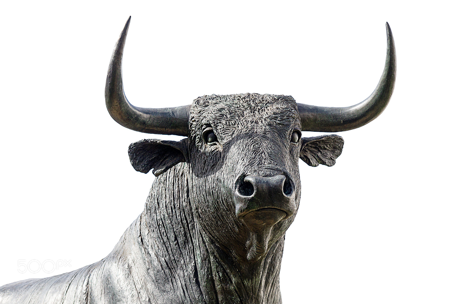 Sony DT 16-105mm F3.5-5.6 sample photo. Bull on white backgroud photography