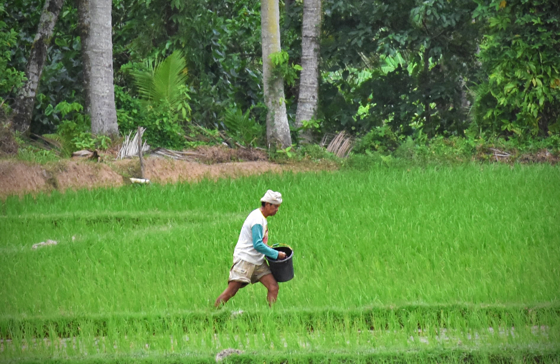 Nikon D7200 + Nikkor 45mm f/2.8 P sample photo. Fertilizing photography