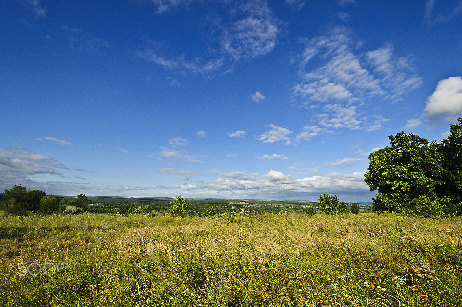 Nikon D5000 sample photo. Enthusiastic open space photography