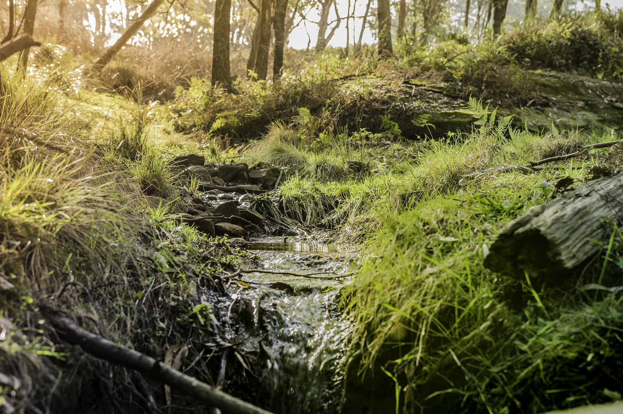 Pentax K-3 II sample photo. The stream photography