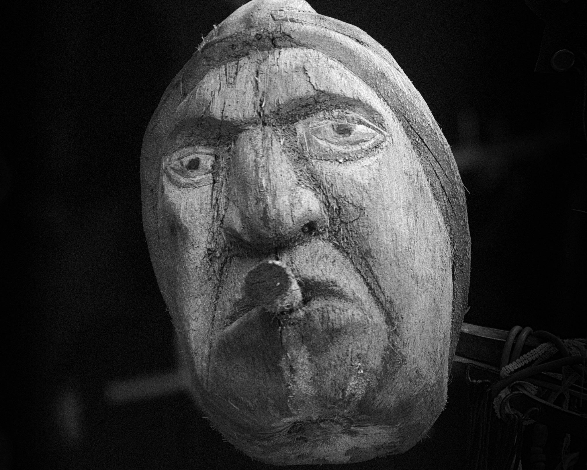 Nikon D300S sample photo. Coconut man photography