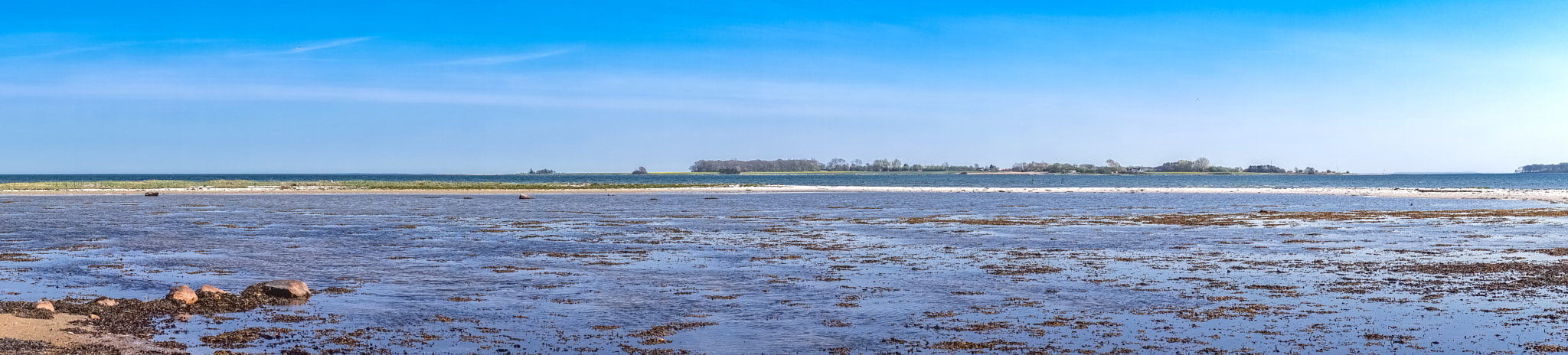 Sony a7R + Minolta AF 50mm F1.4 [New] sample photo. Ocean scenery with seaweed and blue sky photography