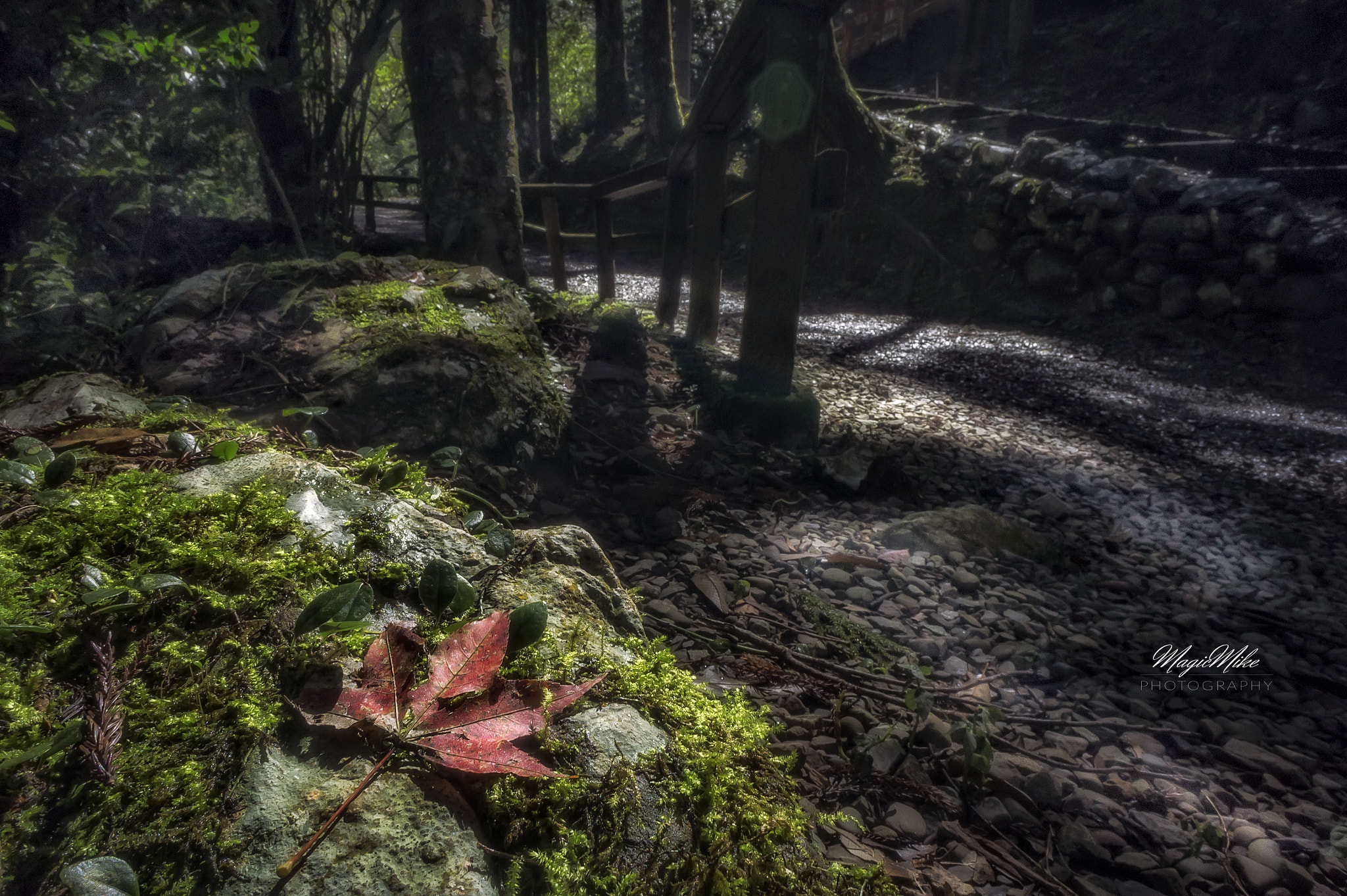 Sony Alpha NEX-5 + Sony E 16mm F2.8 sample photo. 此生難以忘卻的美 photography