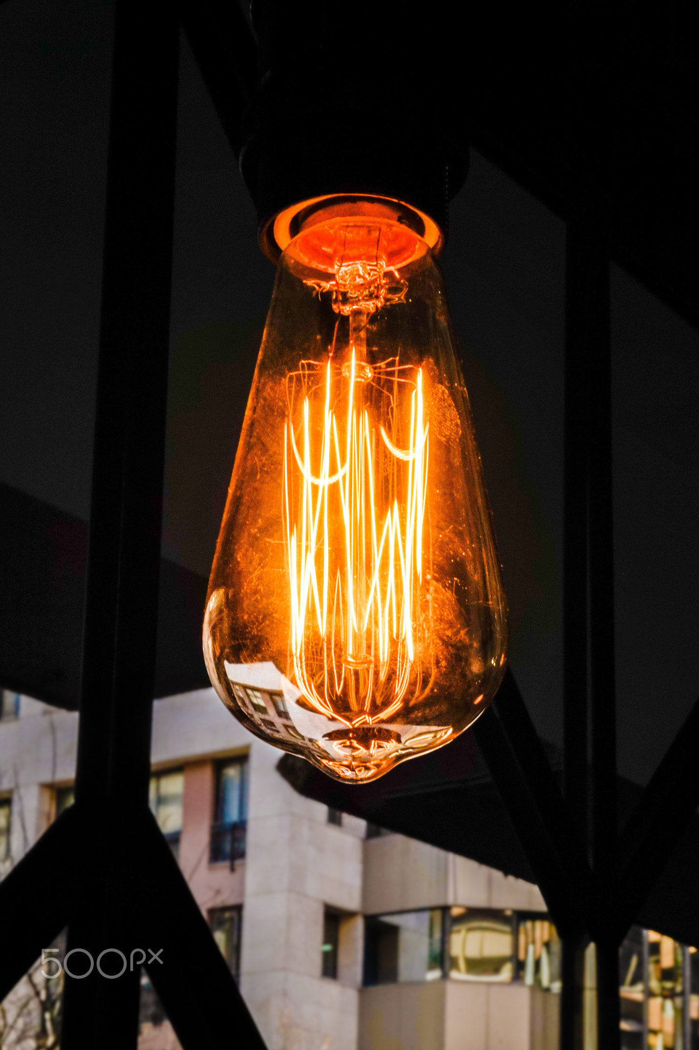 Bulb