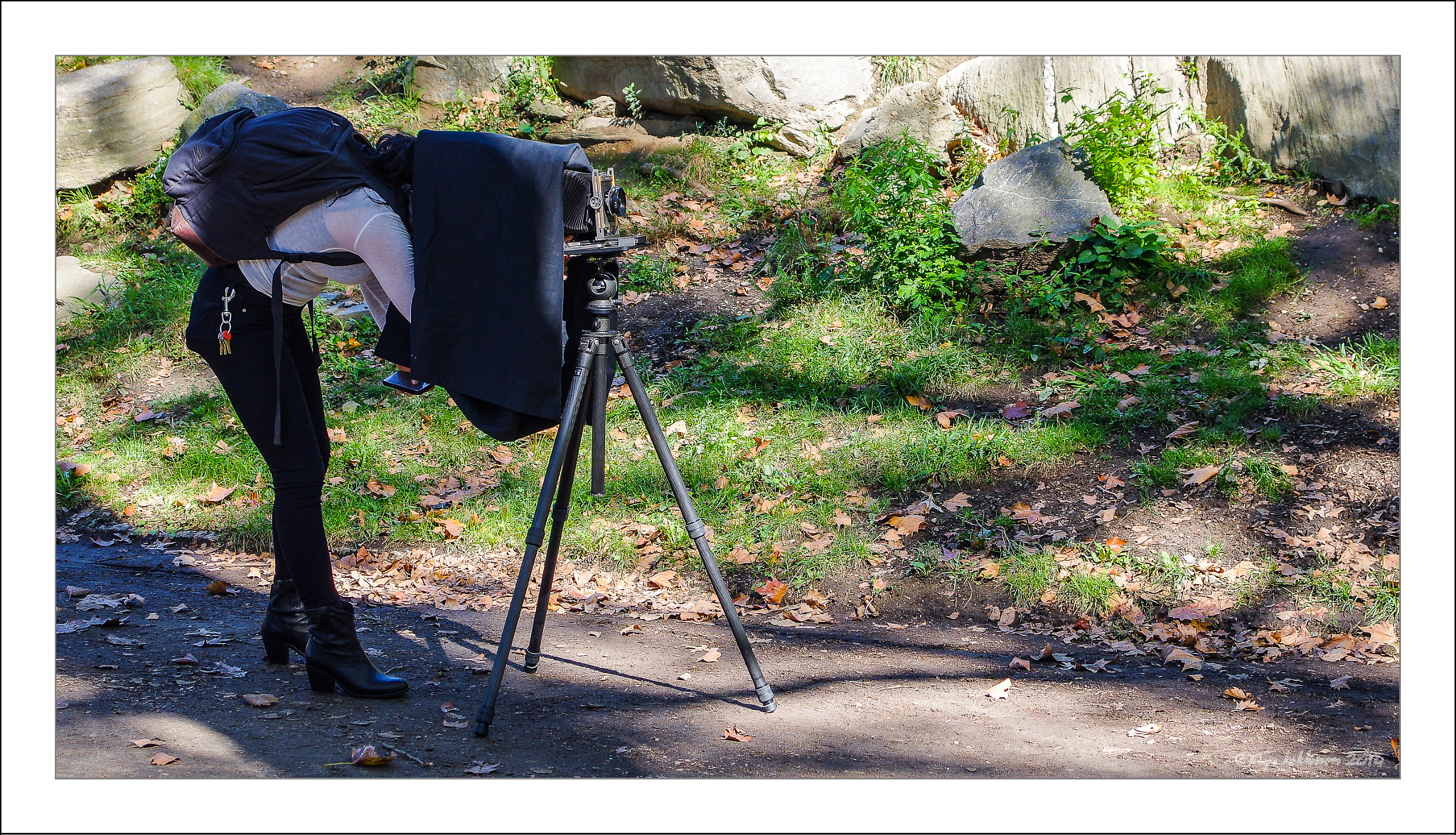 Pentax K-3 sample photo. Photography in nyc central park photography