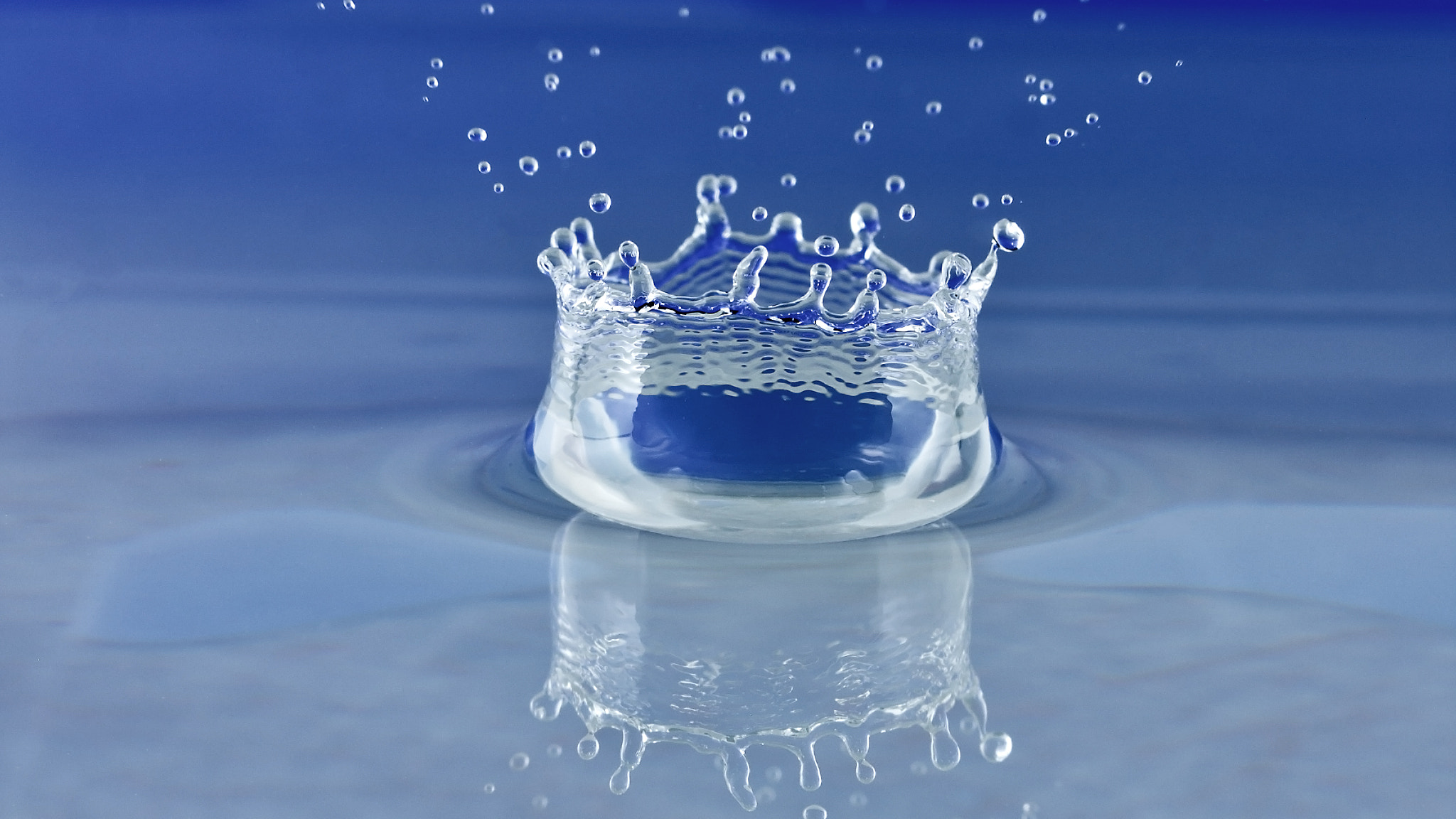 Canon EF 100mm F2.8 Macro USM sample photo. Crown of water photography
