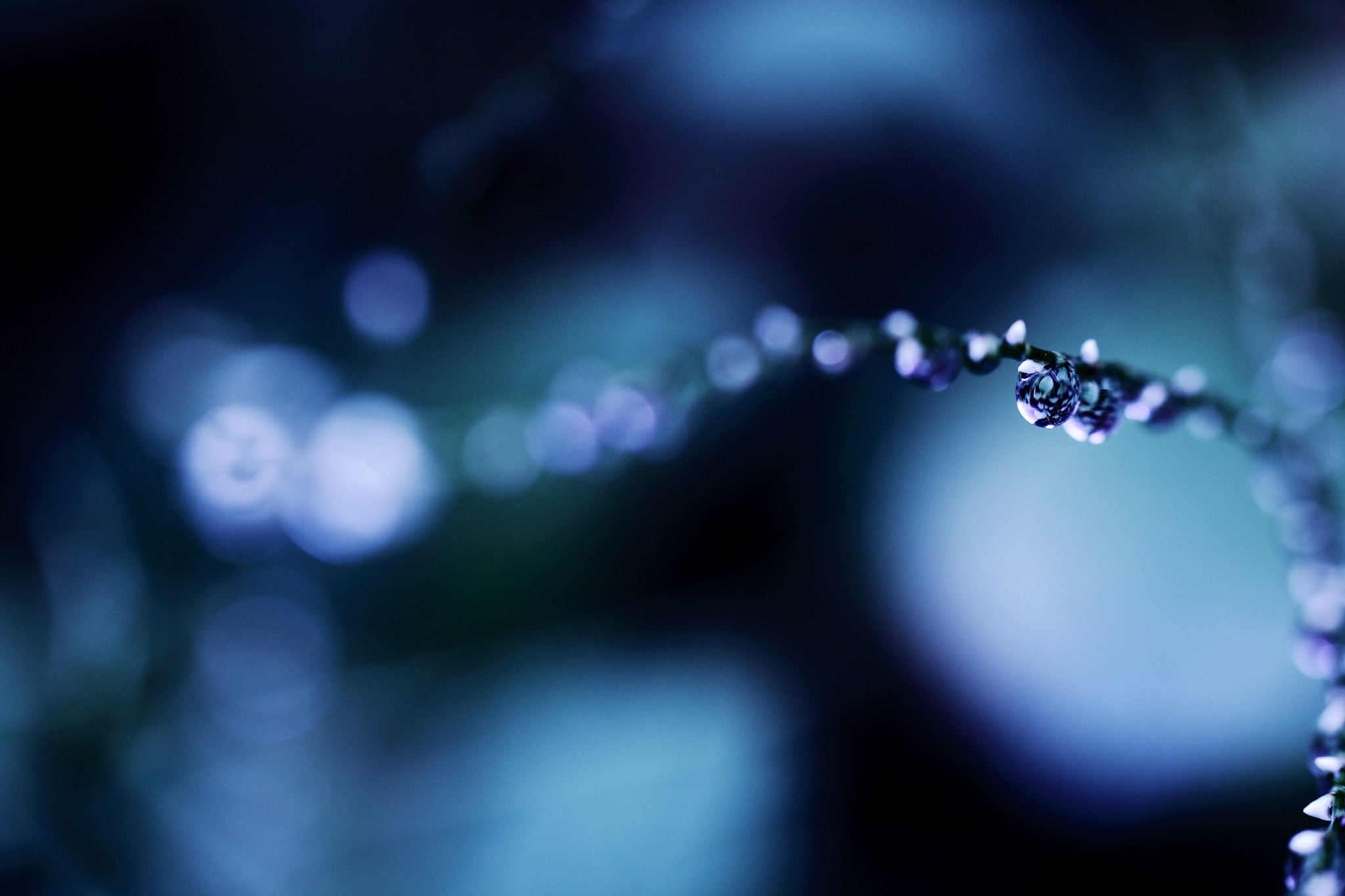 Tamron SP AF 60mm F2 Di II LD IF Macro sample photo. Trails photography